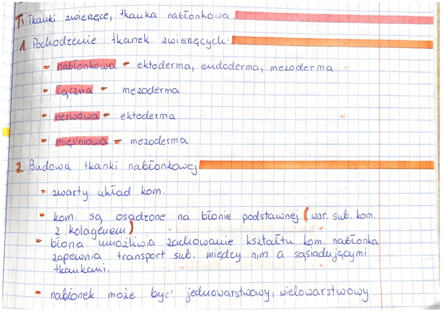 To Thanki zwieręce, tkanka nabłonkowa
A Pochodzenie tkanek zwieręcych.
-
hablonkowa - ektoderma, endoderma, mezoderma
-
Ugcana
nerwowa ektod