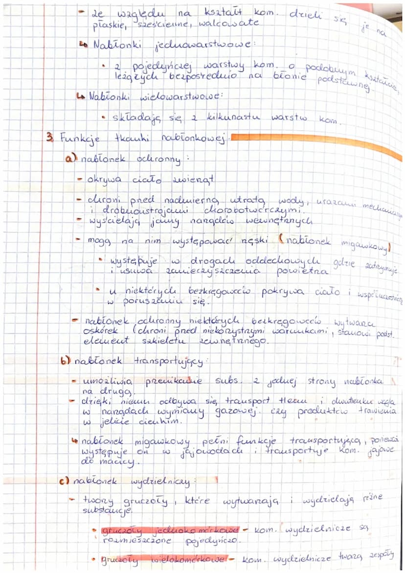 To Thanki zwieręce, tkanka nabłonkowa
A Pochodzenie tkanek zwieręcych.
-
hablonkowa - ektoderma, endoderma, mezoderma
-
Ugcana
nerwowa ektod