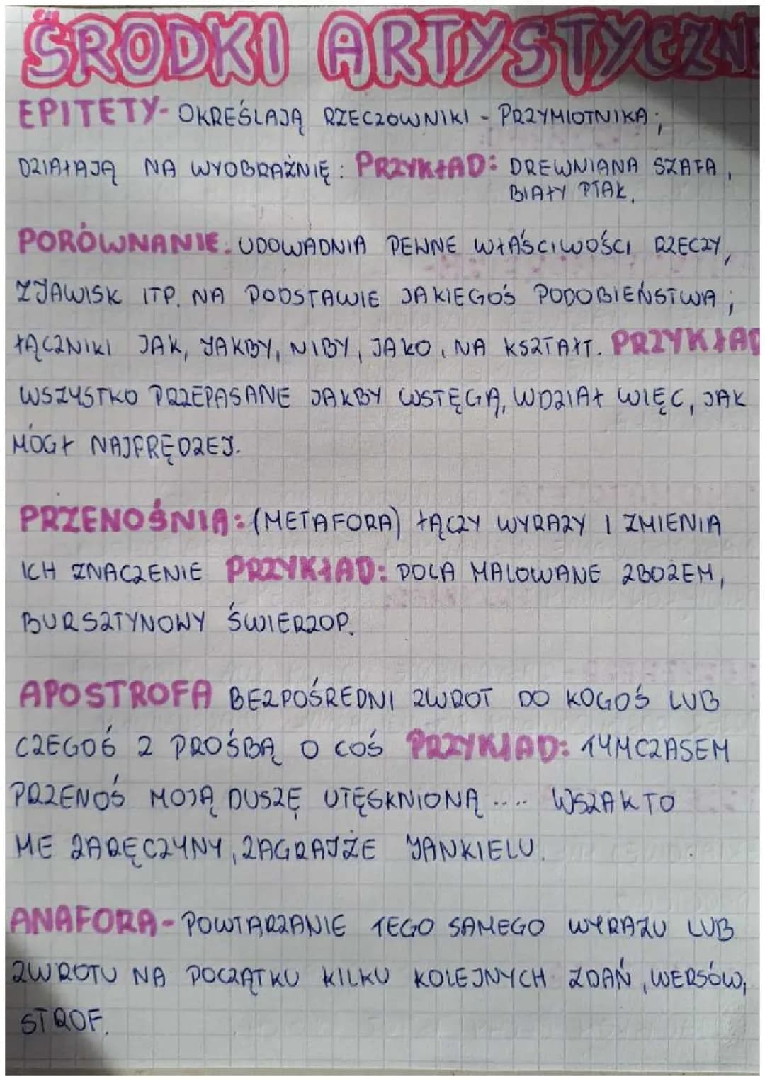 Środki artystyczne 
