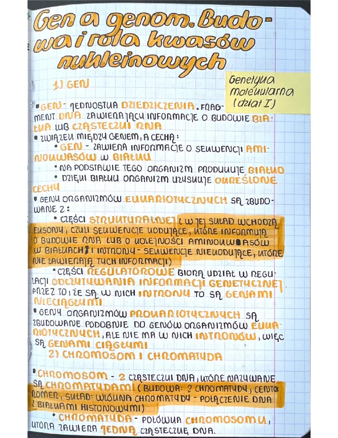 Genetyka molekularna - Biologia na czasie cz.3, Rozdział I, Zakres Podstawowy