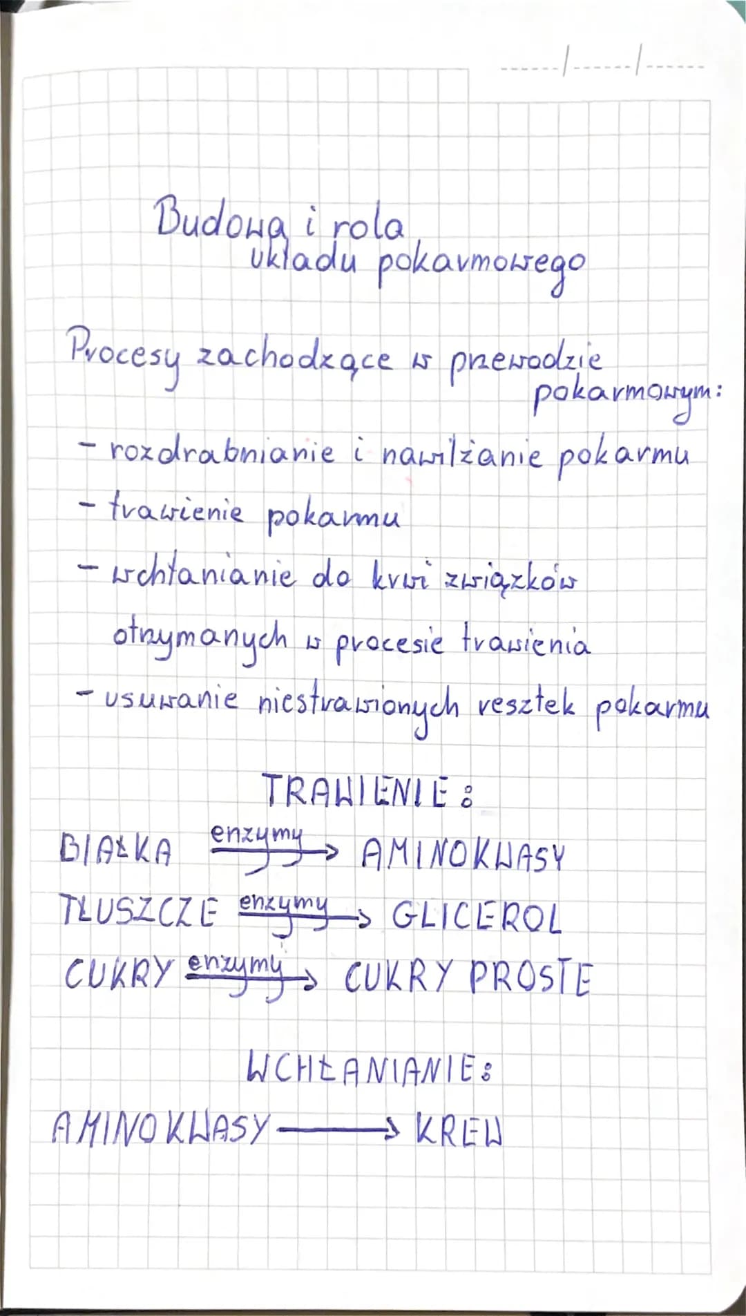 Gruczoty układu pokarmowego:
* wątroba
trustka
× slinianki:
----|-----·|-.....
-nawilżanie
-
pożywienia
niszczenie bakteri
- uczestniczenie 