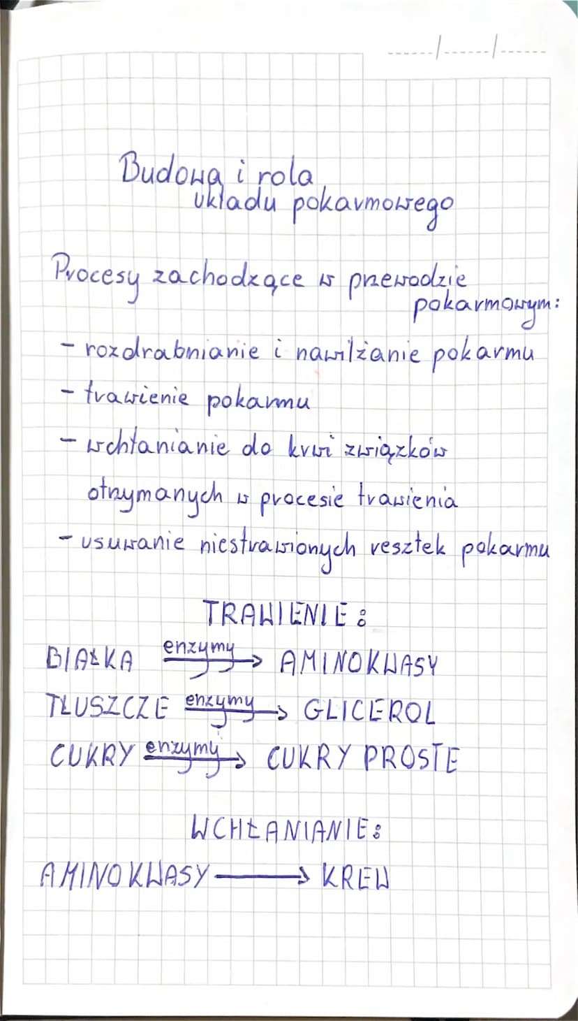 Gruczoty układu pokarmowego:
* wątroba
trustka
× slinianki:
----|-----·|-.....
-nawilżanie
-
pożywienia
niszczenie bakteri
- uczestniczenie 