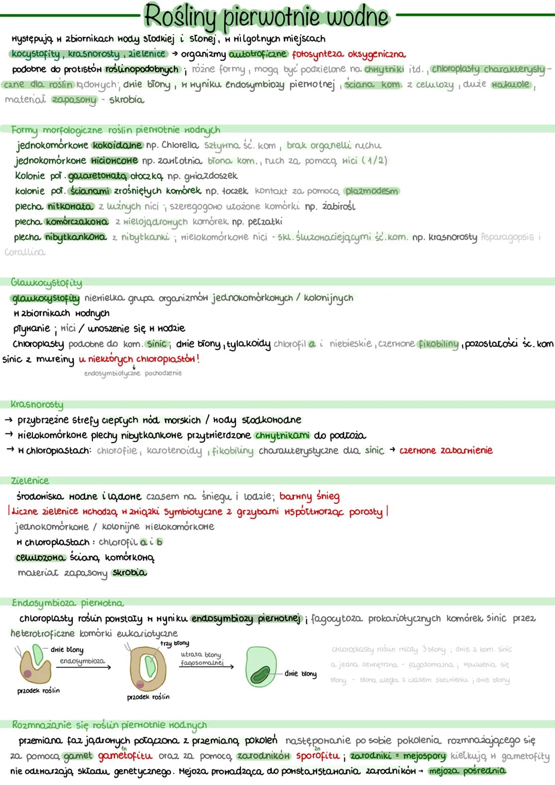 występują w zbiornikach wody słodkiej i stonej, w wilgotnych miejscach
Rośliny pierwotnie wodne
kocystofity, krasnorosty, zielenice organizm