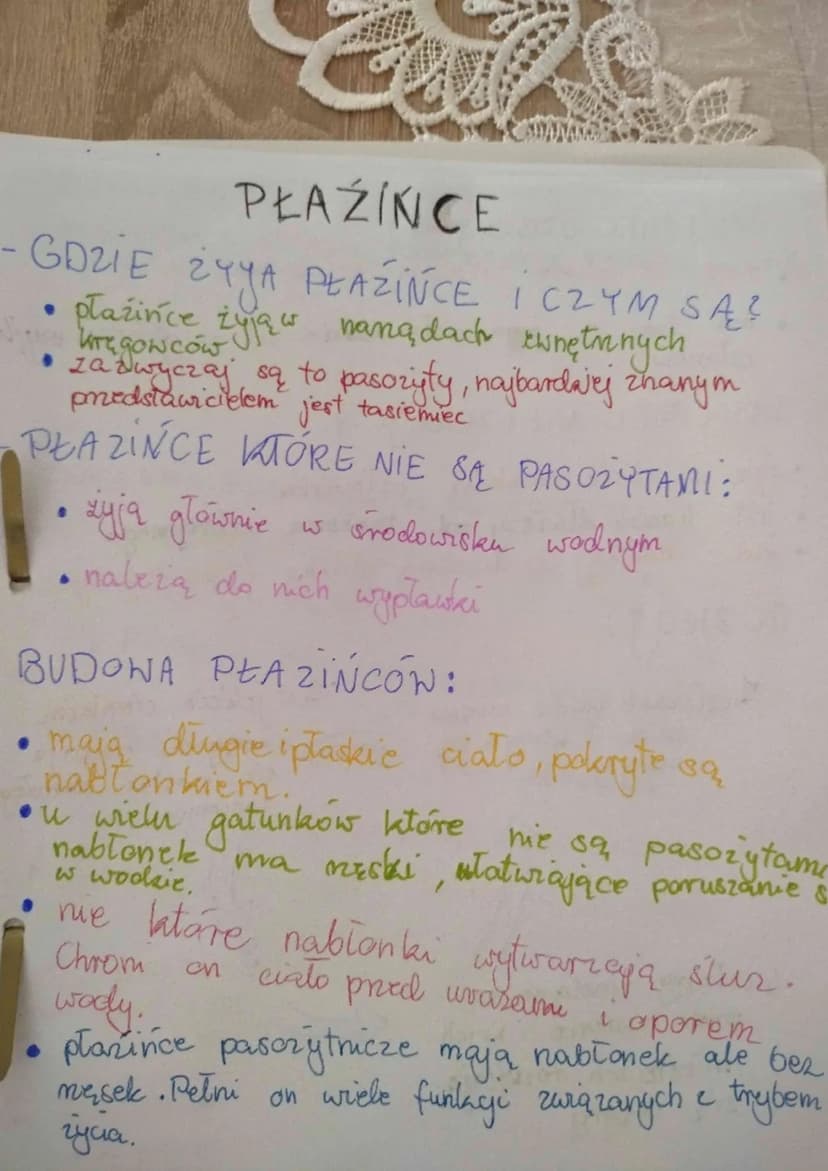 龙
PŁAŹÍNCE
GDZIE ZYYA PŁAZIŃCE I CZYM SĄ?
płazińce iyaw nangdach ewnętrznych
kręgowców!
• zazwyczaj są to pasożyty, najbardavej zhanym
przed