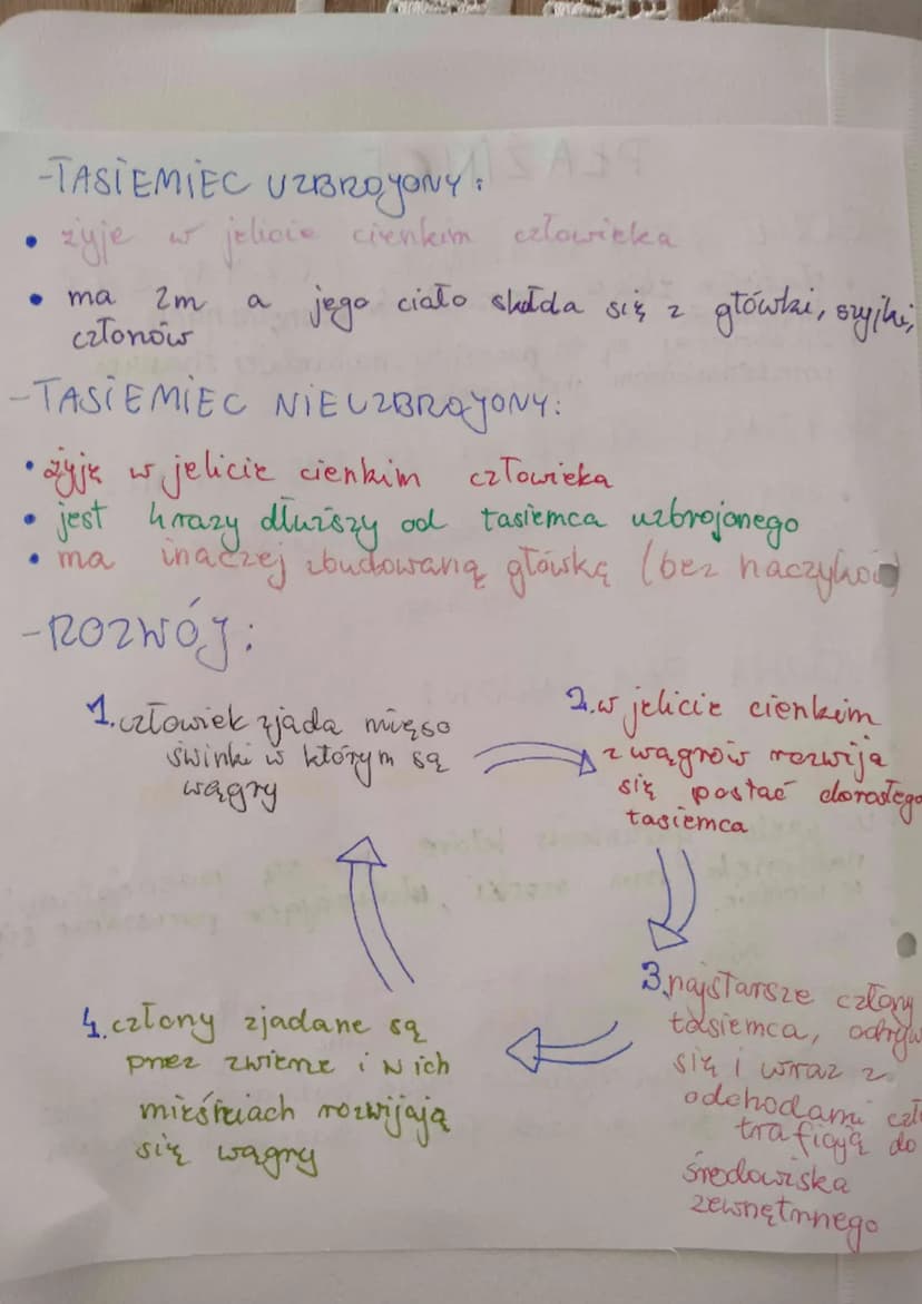 龙
PŁAŹÍNCE
GDZIE ZYYA PŁAZIŃCE I CZYM SĄ?
płazińce iyaw nangdach ewnętrznych
kręgowców!
• zazwyczaj są to pasożyty, najbardavej zhanym
przed