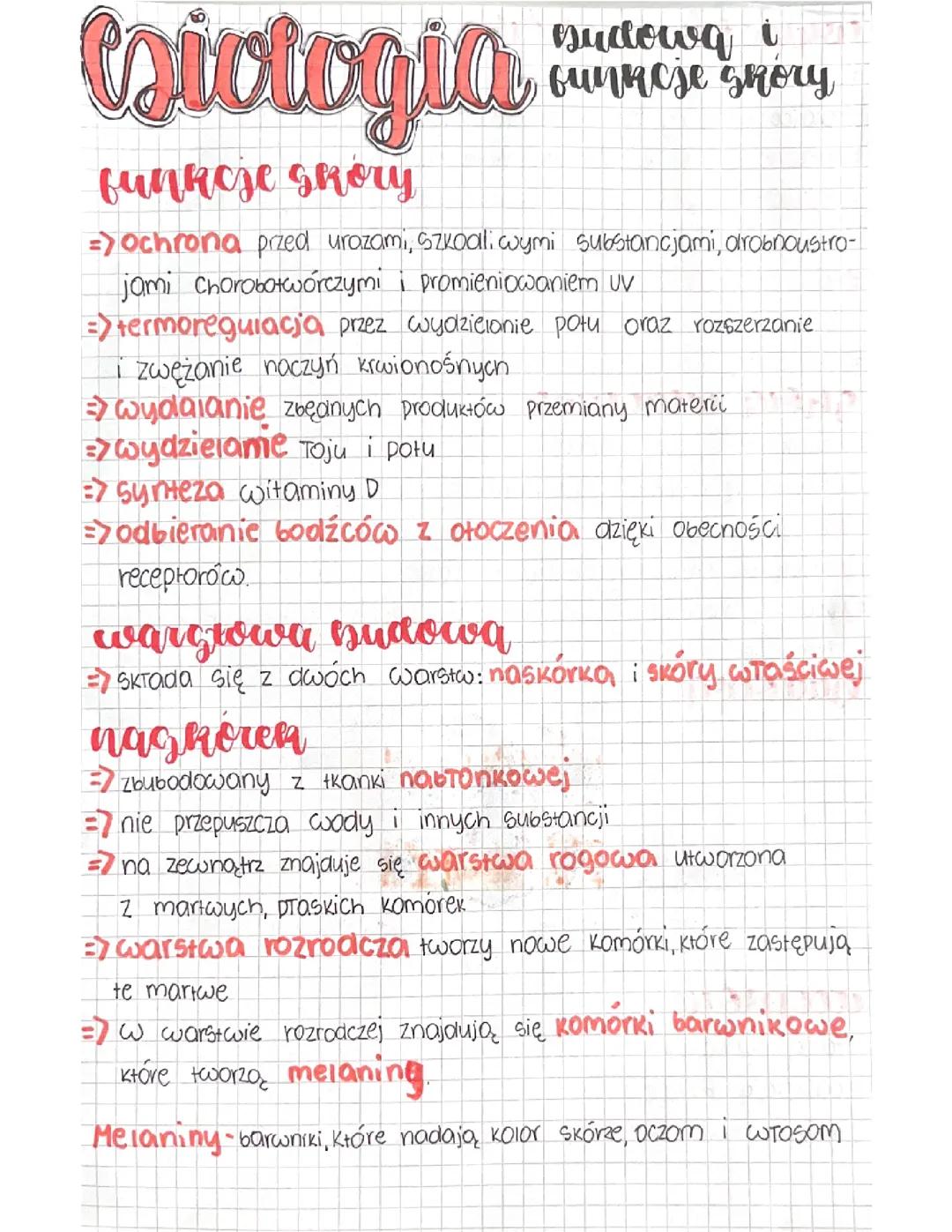 Budowa i funkcje skóry