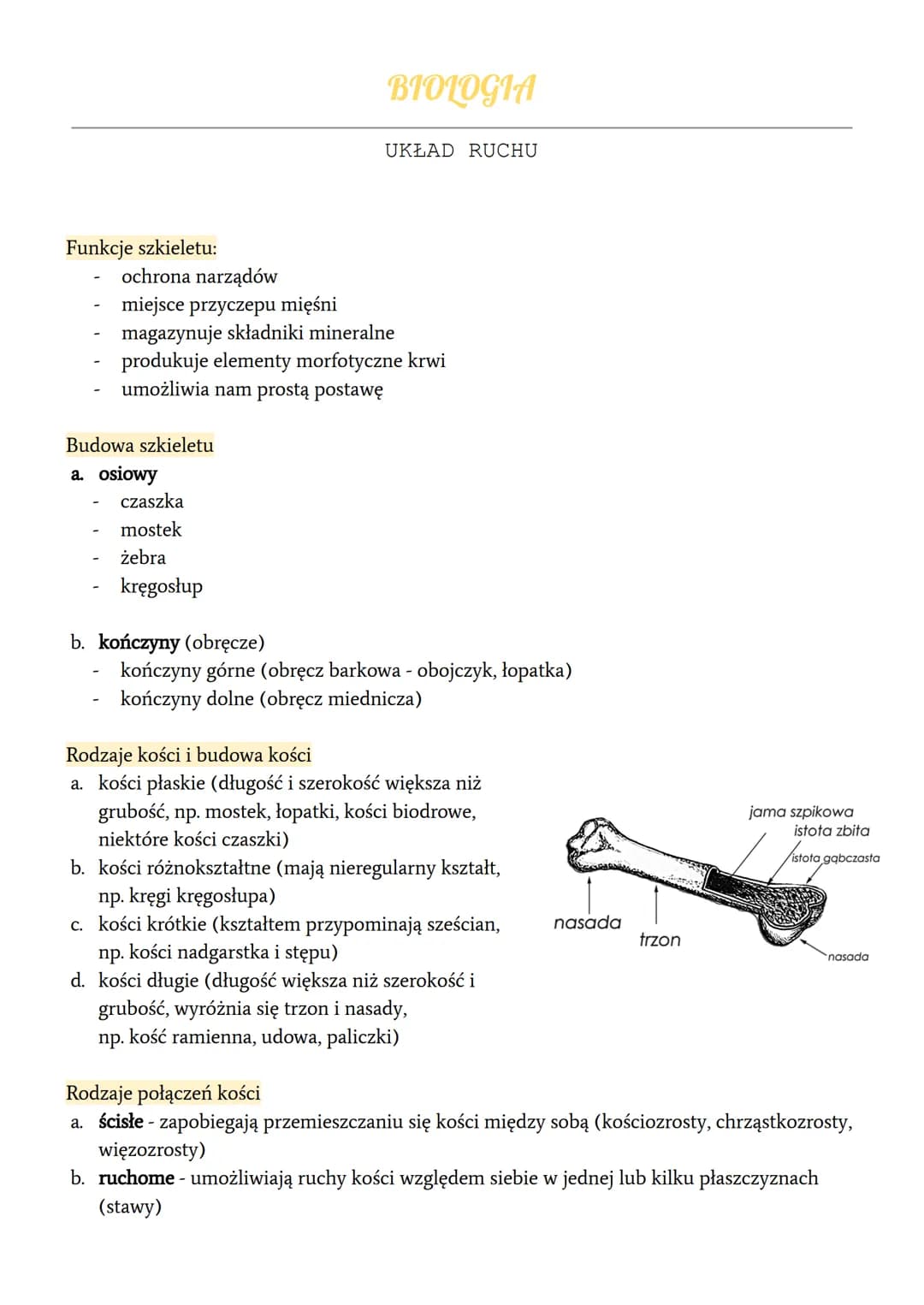 Funkcje szkieletu:
-
ochrona narządów
miejsce przyczepu mięśni
Budowa szkieletu
a. osiowy
magazynuje składniki mineralne
produkuje elementy 