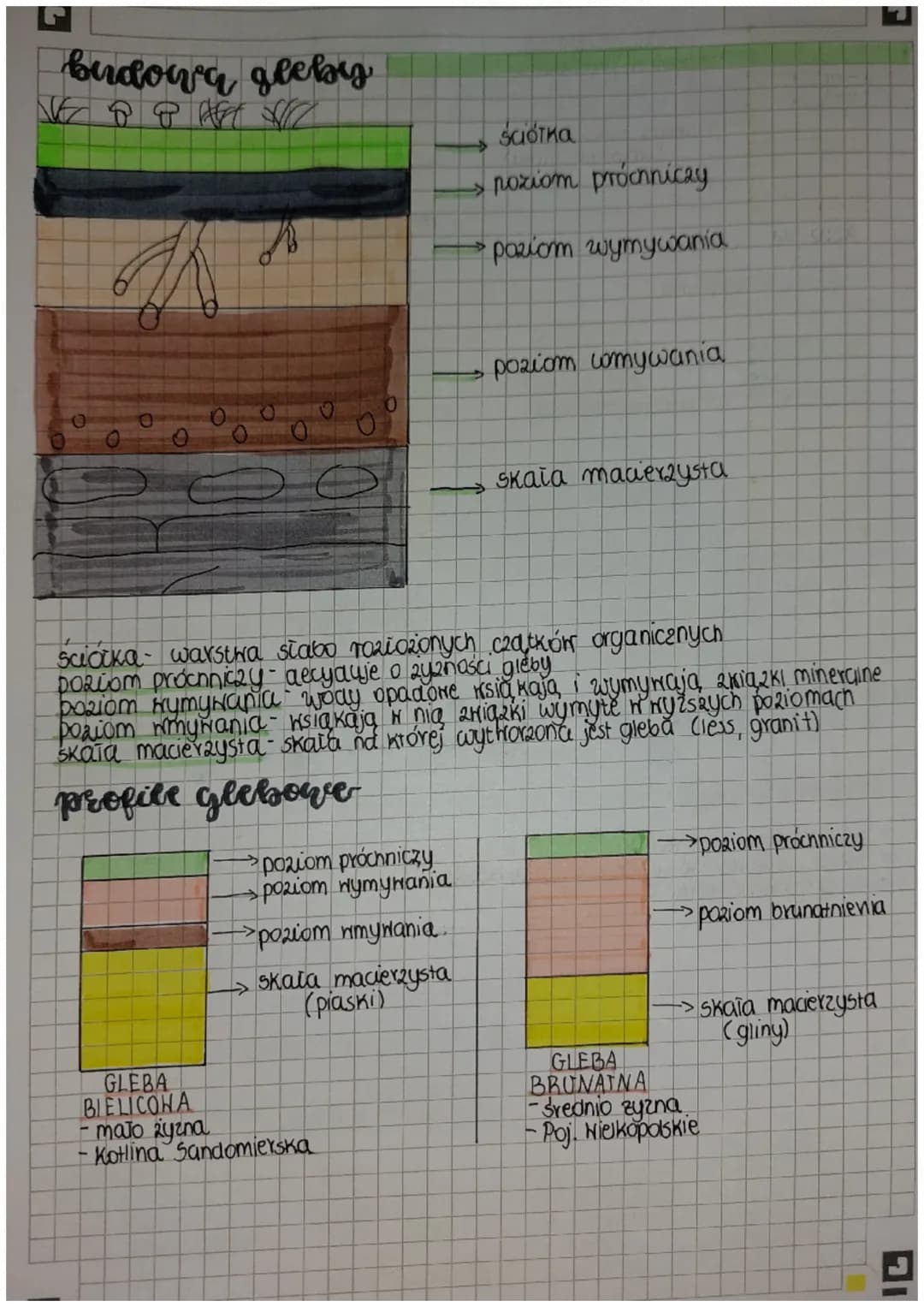 ∙Geeisy
czyen sa?
Stere gleb nazywamy pedosfera. Gleba składa się z czastek mineralnych
i organicznych, a także 2 wody i porrietrza. O tym j