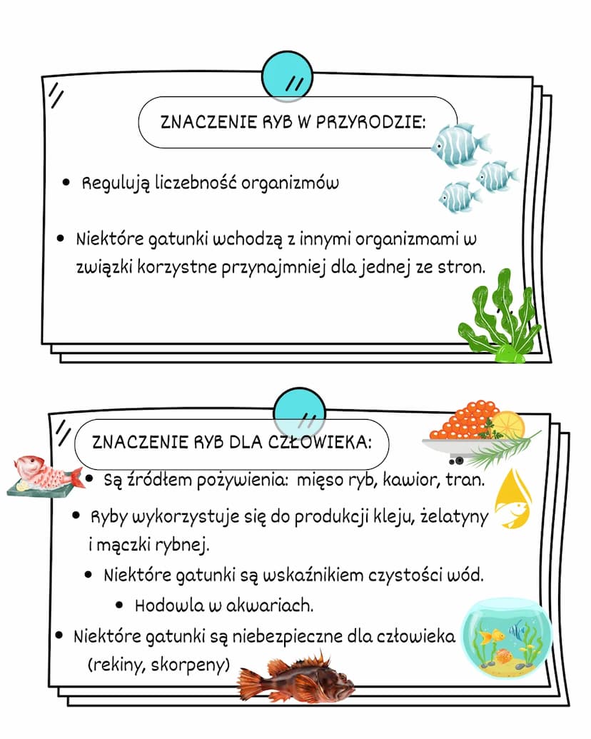 RYBY
ŚRODOWISKO
ZYCIA:
RYBY ŻYJĄ W ŚRODOWISKU WODNYM.
ŻYJA W WODACH SŁONYCH I SŁODKICH.
ZAMIESZKUJĄ WSZYSTKIE CZĘŚCI ZBIORNIKÓW
WODNYCH:
GÓR