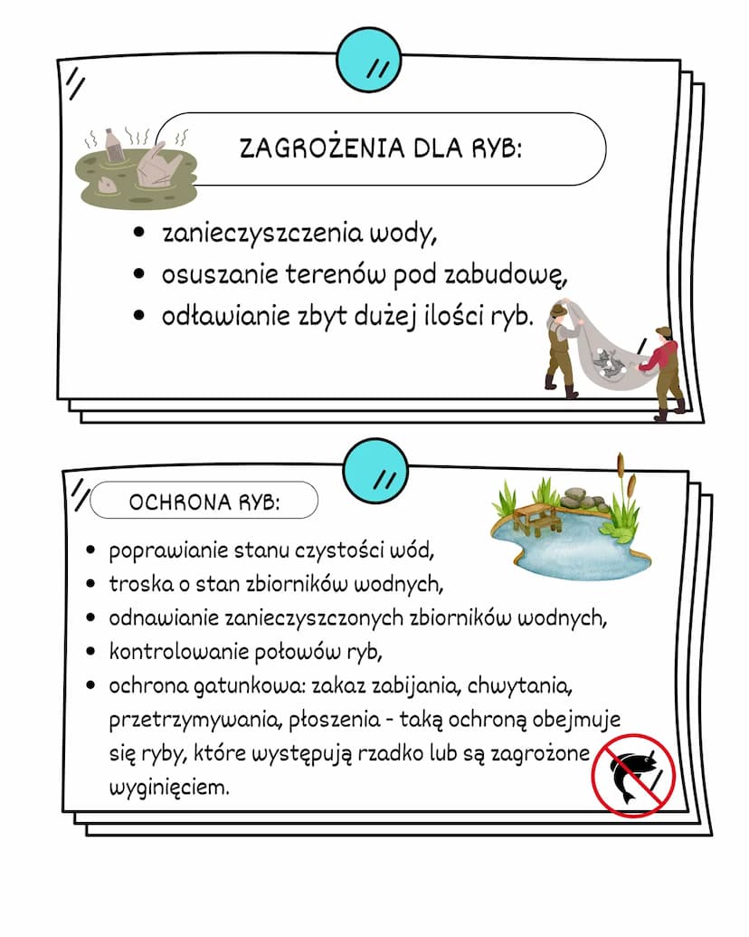 RYBY
ŚRODOWISKO
ZYCIA:
RYBY ŻYJĄ W ŚRODOWISKU WODNYM.
ŻYJA W WODACH SŁONYCH I SŁODKICH.
ZAMIESZKUJĄ WSZYSTKIE CZĘŚCI ZBIORNIKÓW
WODNYCH:
GÓR