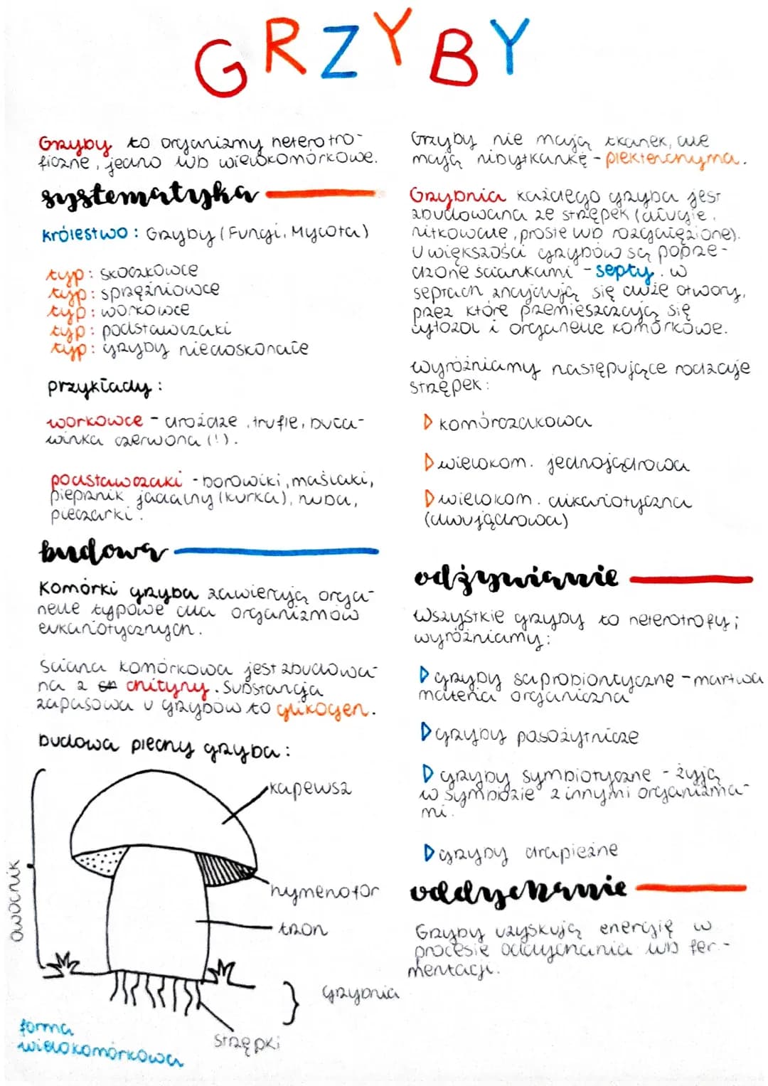 owocnik
GRyby to organizmy netero tro-
ficzne, jeano wb wiewkomórkowe.
systematyka
królestwo: Gryby (Fungi, Mycota)
typ: Skoczkowce
typ: spr