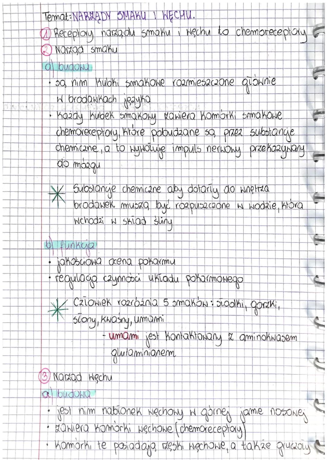 Temat: NARZĄDY SMAKU I WĘCHU.

@Receptory narządu smaku, Hęchu to chemoreceptory

Nazad smaku

o budowu

• sa nim Kubki smakowe rozmieszczon