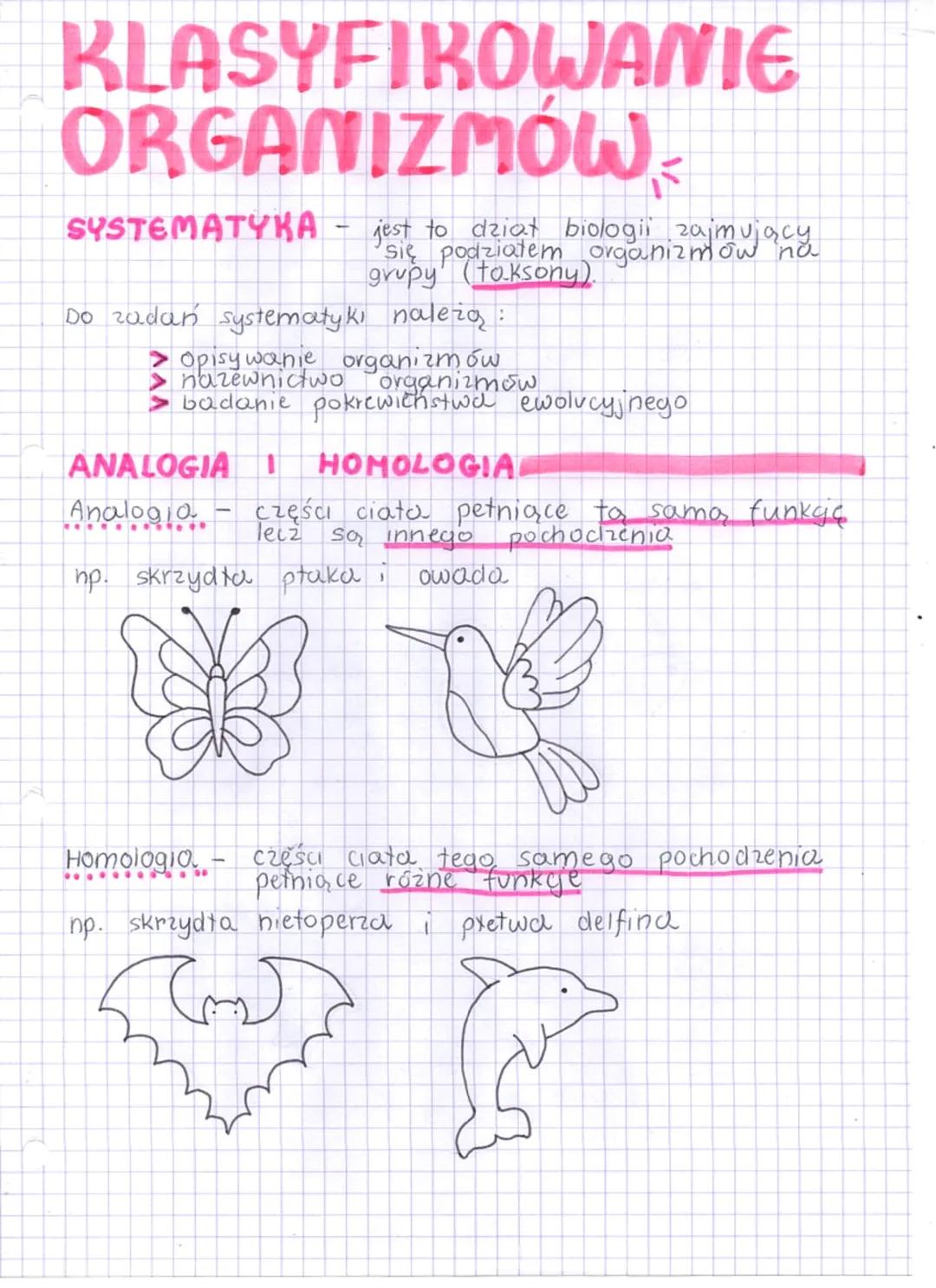 KLASYFIKOWANIE
ORGANIZMÓW
SYSTEMATYKA - jest to dział biologii zajmujący
się podziałem organizmów na
grupy (taksony).
Do zadań systematyki n
