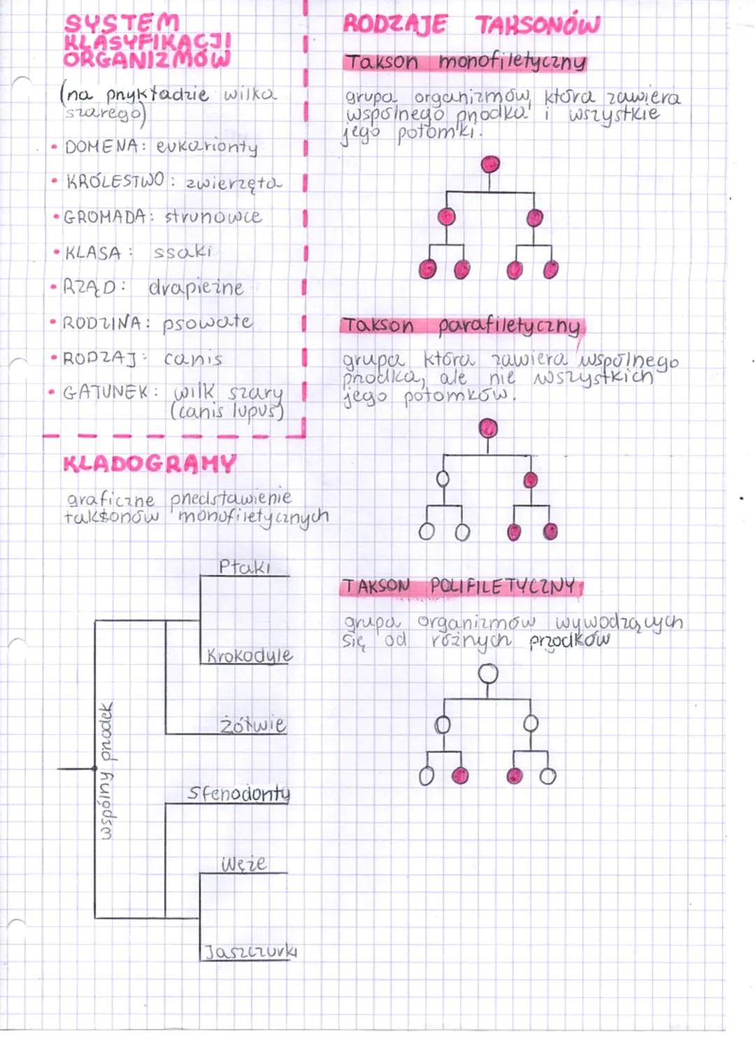 KLASYFIKOWANIE
ORGANIZMÓW
SYSTEMATYKA - jest to dział biologii zajmujący
się podziałem organizmów na
grupy (taksony).
Do zadań systematyki n