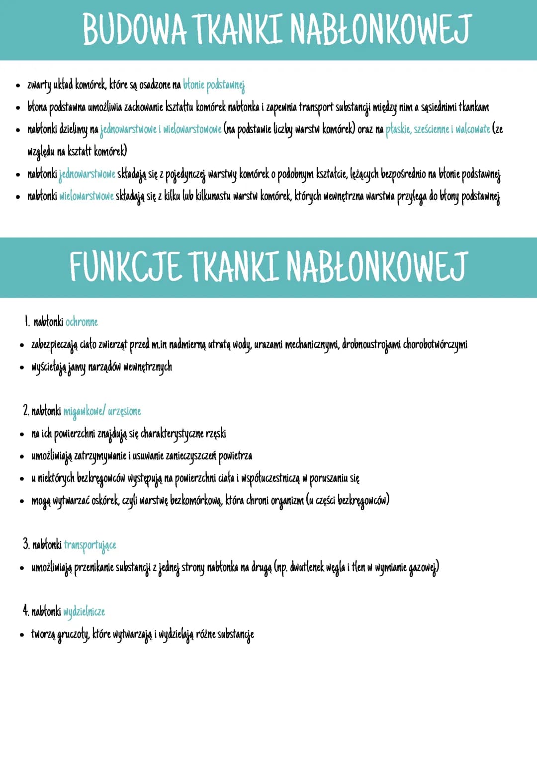 Tkanki zwierzęce. Tkanka nabłonkowa