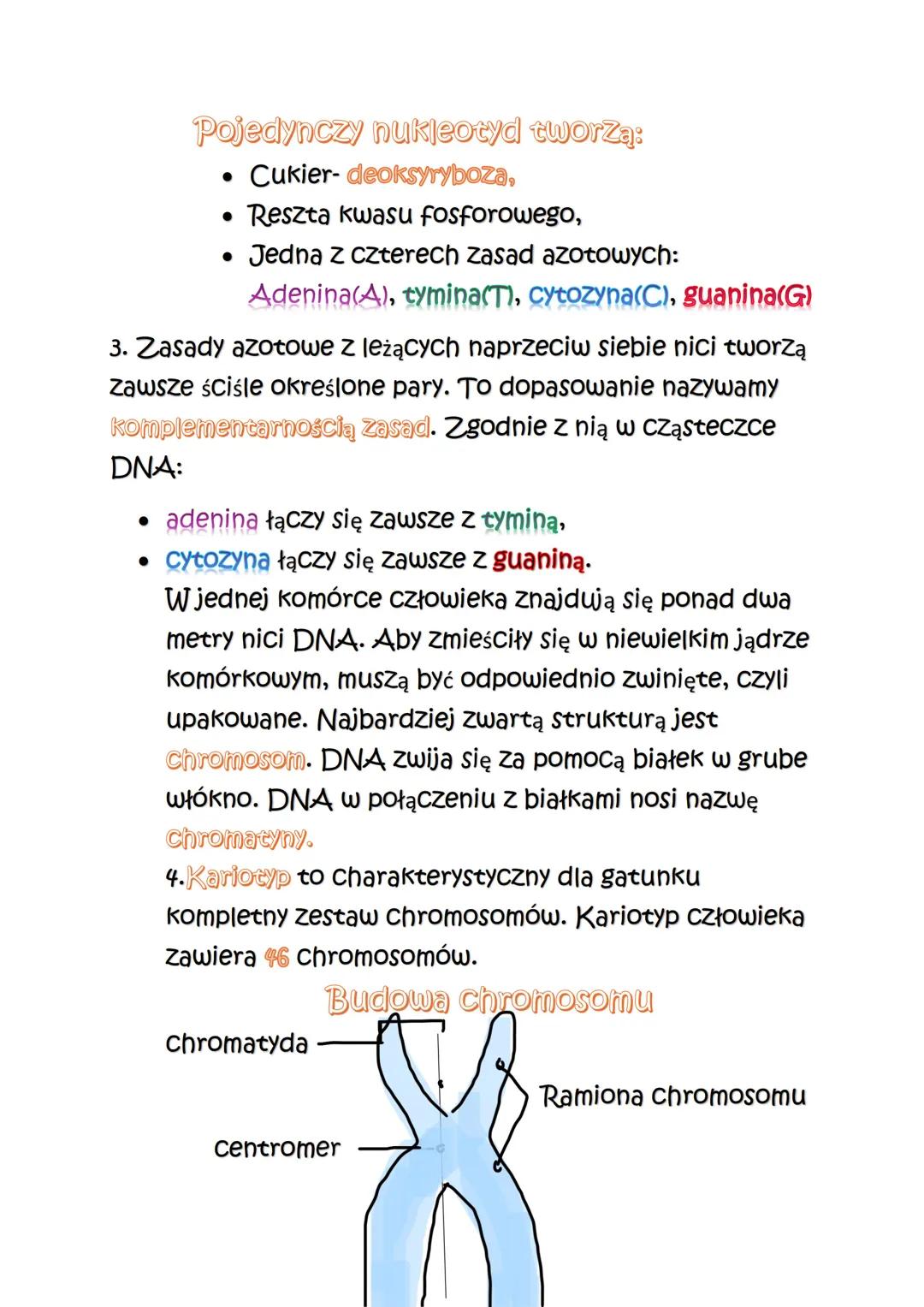 Biologia
1.Czym jest Genetyka?
1.Genetyka to nauka zajmująca się dziedziczeniem
cech i zmiennością organizmów. Cechy, które
odziedziczyliśmy