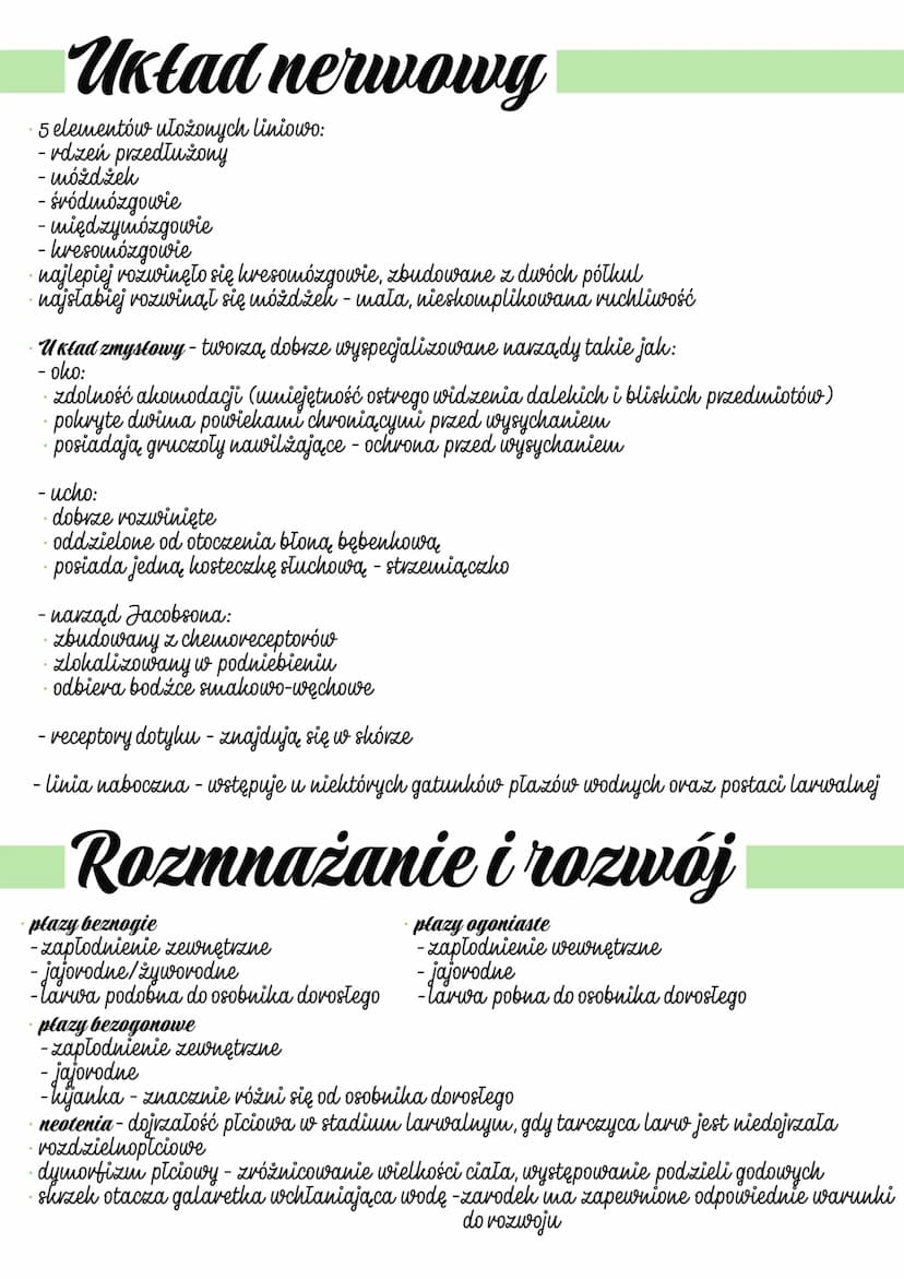 
<h2 id="cechyoglne">Cechy ogólne</h2>
<p>Kijanki/larwy posiadają skrzela.<br />
Płucodyszne (formy dorosłe).<br />
Bezowodniowce (brak błon