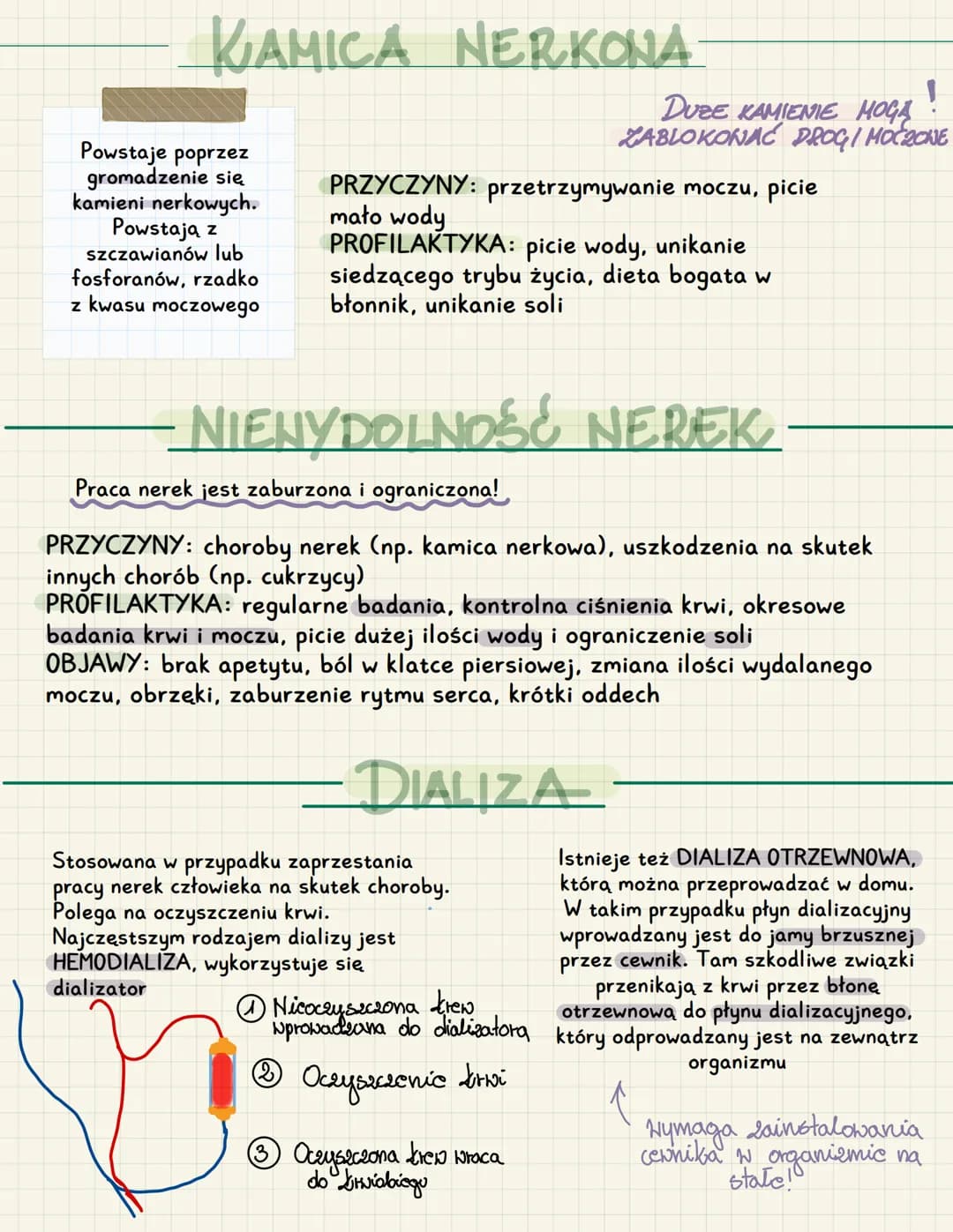 CHOROBY UKŁADU MOCZONEGO
Choroby rozpoznaje się za pomocą badań ogólnych moczu, USG jamy
brzusznej i urografii.
USG JAMY BRZUSZNEJ
Może wyka
