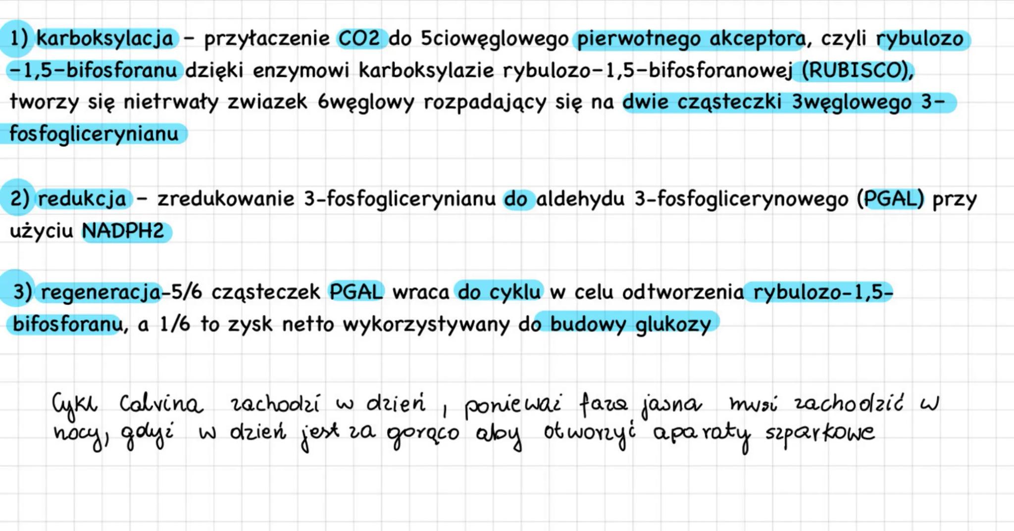 AUTOTROFIZM
AUTOTROFIZM jest to rodzaj odżywiania się organizmów polegający
wytworzeniu związków organicznych z związków nieorganicznych
L C