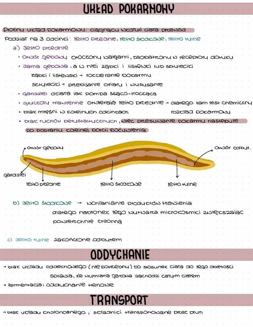 NICIENIE
Szerocie Nystępowanie, dzięki MOČITNOŚCI #NORcenia custi 2010iności capionionych
jai, bu pretruać niecorcusine Środowisico
BUDOHA C