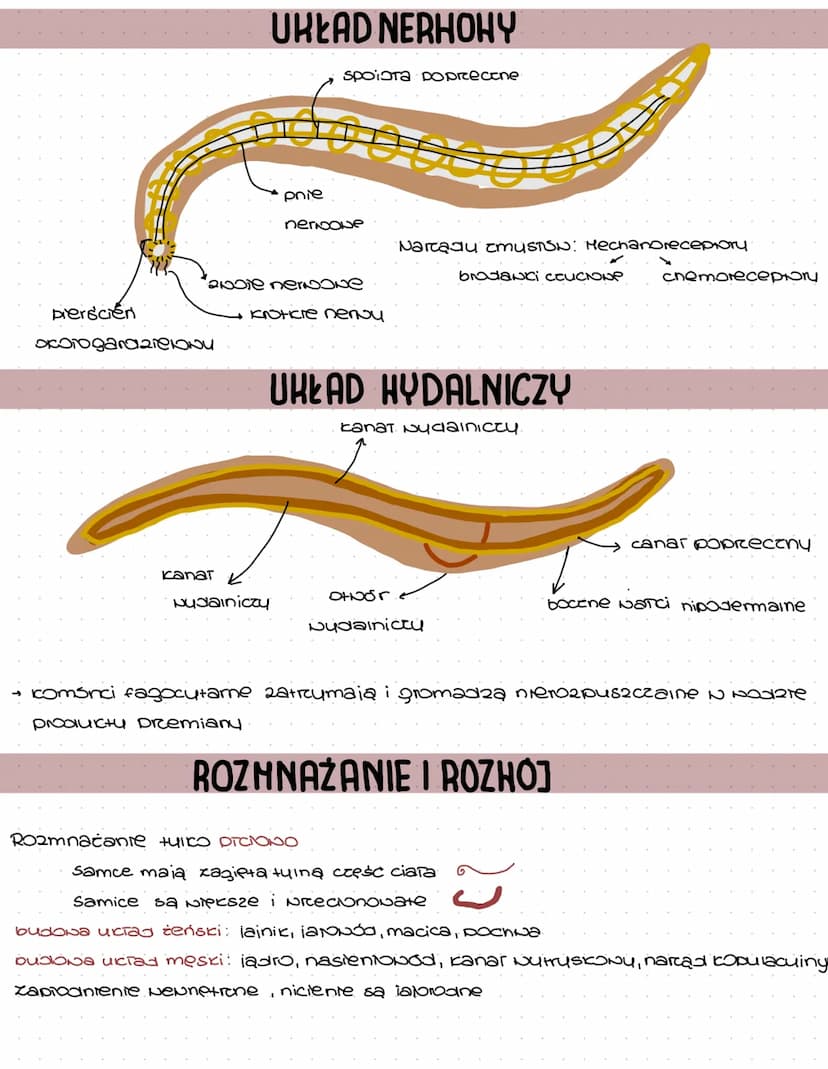 NICIENIE
Szerocie Nystępowanie, dzięki MOČITNOŚCI #NORcenia custi 2010iności capionionych
jai, bu pretruać niecorcusine Środowisico
BUDOHA C
