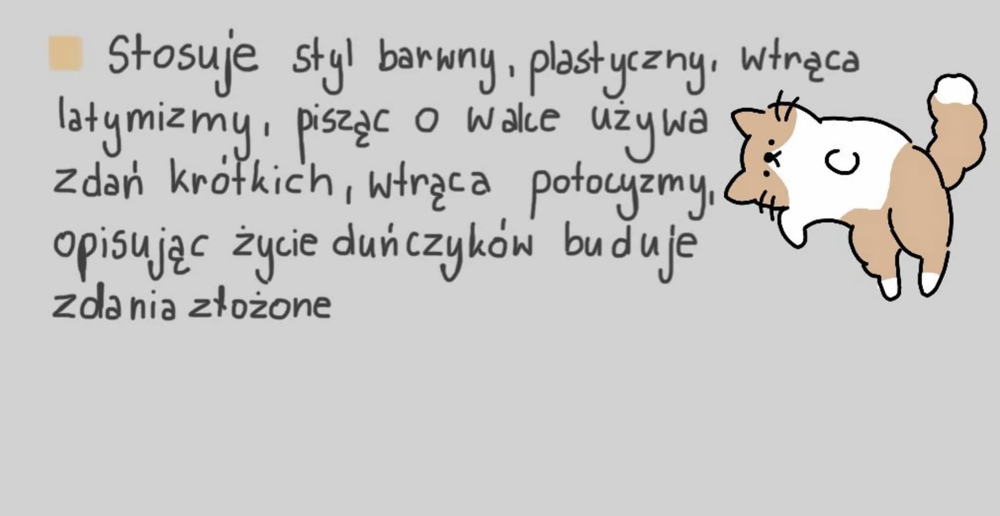 PAMIETNIKI JANA CHRYZOSTOMA PASKA
Rok pański 1667
Autor opisuje swoje staranie się ożonę.
Widzimy tu instytucję swastów którzy przedstawiają