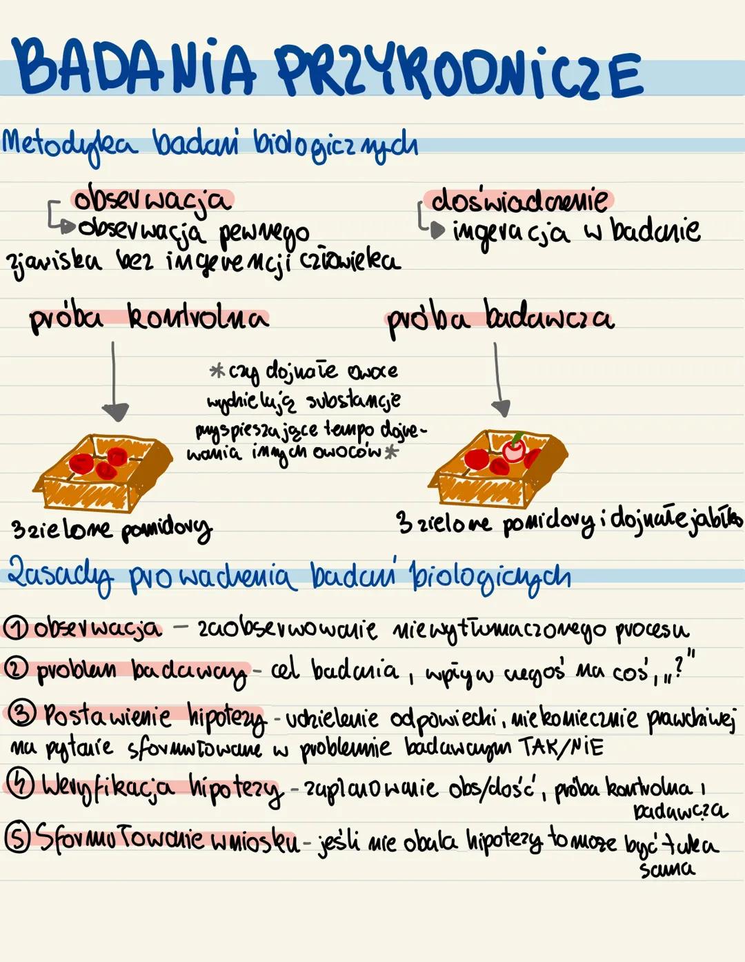 CZASOWNIKI OPERACYJNE
★
hipoteza-puy pusz-
Czemie, dochokisz
do potwierdzenia
teza-załozenie
Czasownik
operacyjny
Podaj, wymień
Określ,
prze