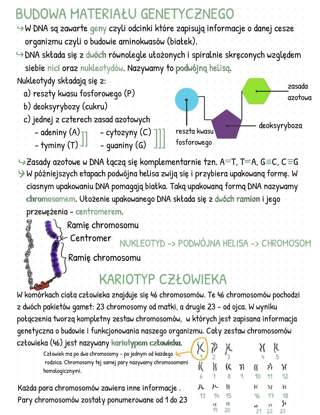 Podstawy dziedziczenia część 1