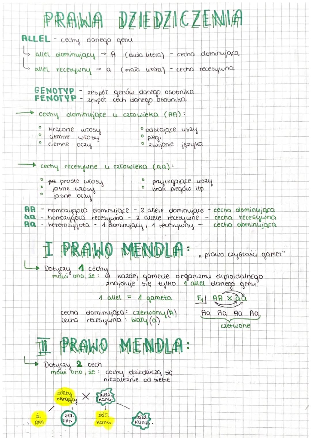 # PRAWA DZIEDZICZENIA

ALLEL cechy danego genu

L

→ allel dominujący A (duża lutera) cecha dominujaca

→ allel recesywny a (mata utera) cec