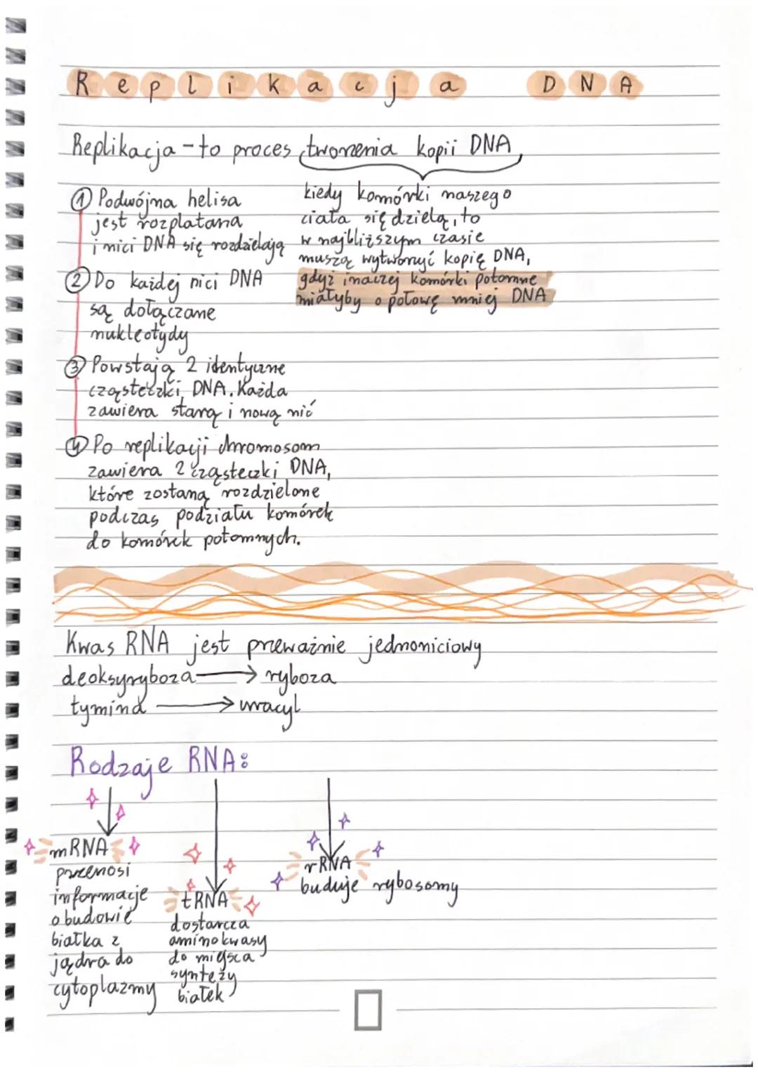 Biologia
Budowa DNA:
DNA składa się z mukleotydów <
-jądro komórkowe
Podwójna helisa-
dwie micie ułożone
równolegle i spiralnie
skręcome wok