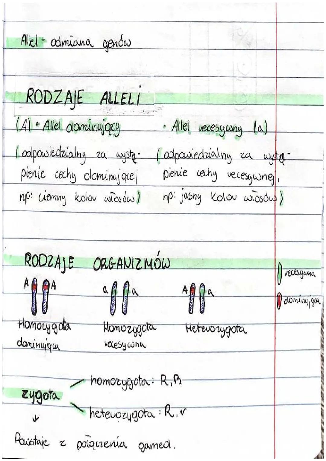 podstawowe prawa dziedziczenia