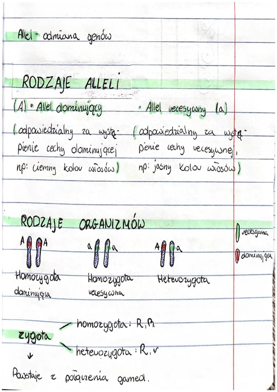 Allel- odmiana genów
RODZAJE ALLELI
(A) • Allel dominujący
Lodpowiedzialny za wystą-
pienie cechy olominującej
np: ciemny kolov włosów)
RODZ