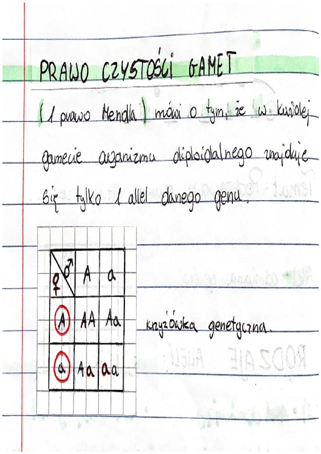 Allel- odmiana genów
RODZAJE ALLELI
(A) • Allel dominujący
Lodpowiedzialny za wystą-
pienie cechy olominującej
np: ciemny kolov włosów)
RODZ