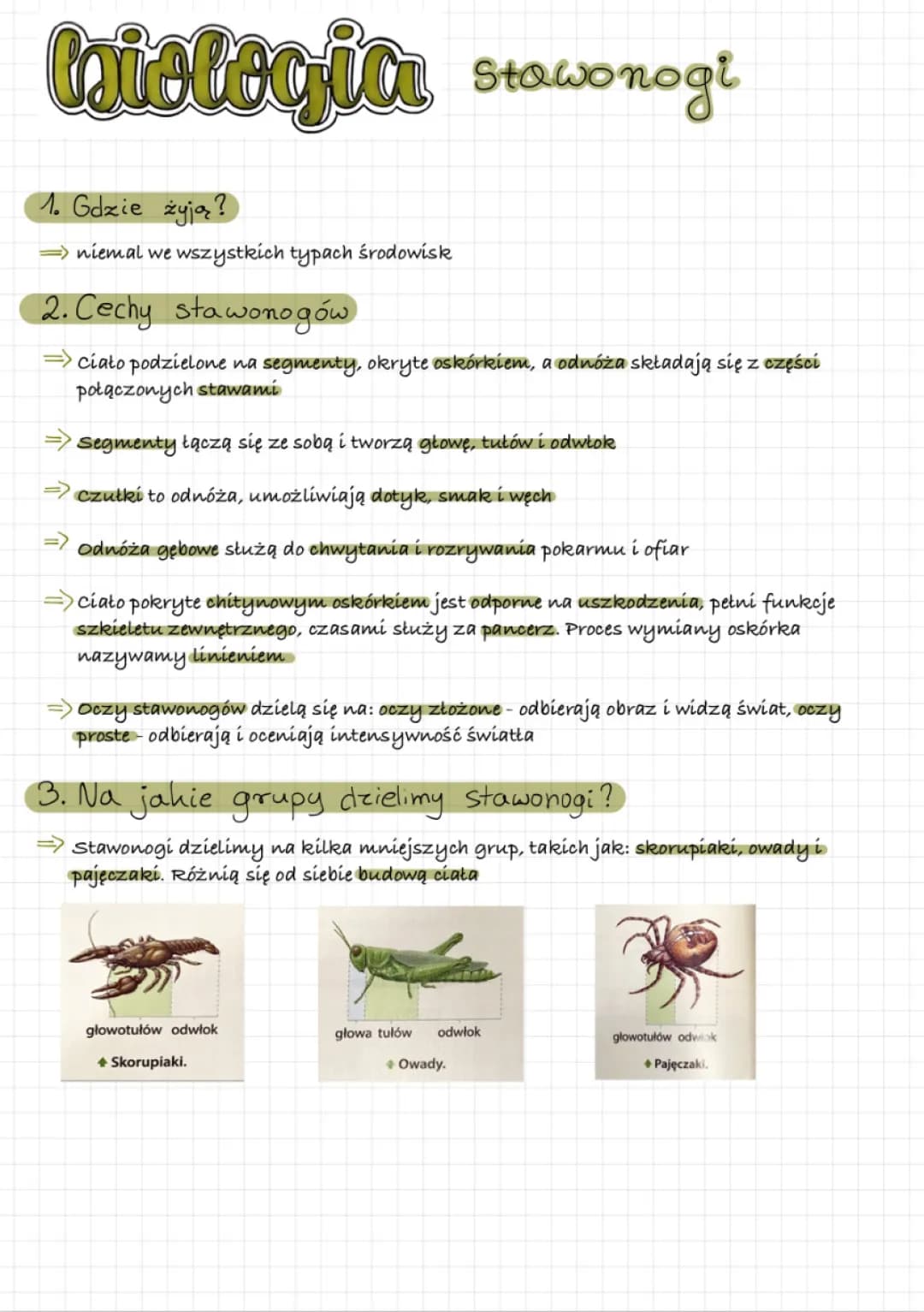 Skorupiaki, Pajęczaki i Stawonogi - Biologia Klasa 6 PDF