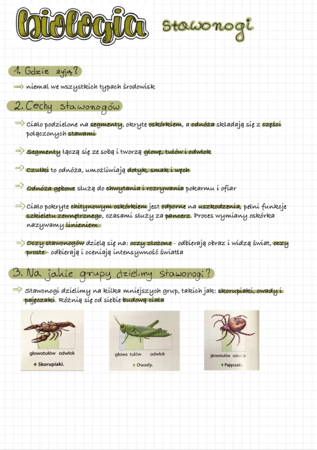 biologia stawonogi
1. Gdzie żyją?
=> niemal we wszystkich typach środowisk
2. Cechy stawonogów
=> ciało podzielone na segmenty, okryte oskór