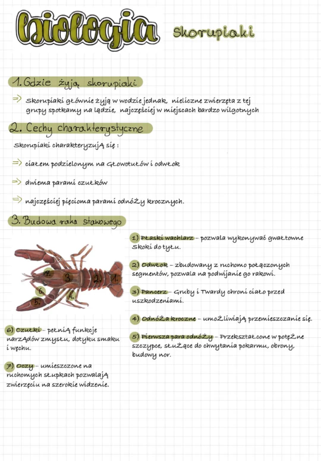 biologia stawonogi
1. Gdzie żyją?
=> niemal we wszystkich typach środowisk
2. Cechy stawonogów
=> ciało podzielone na segmenty, okryte oskór