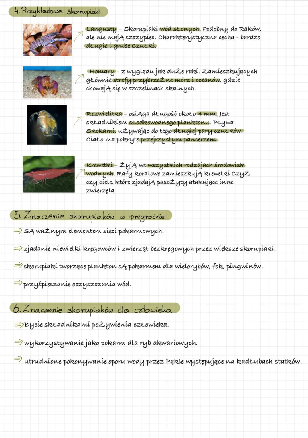 biologia stawonogi
1. Gdzie żyją?
=> niemal we wszystkich typach środowisk
2. Cechy stawonogów
=> ciało podzielone na segmenty, okryte oskór