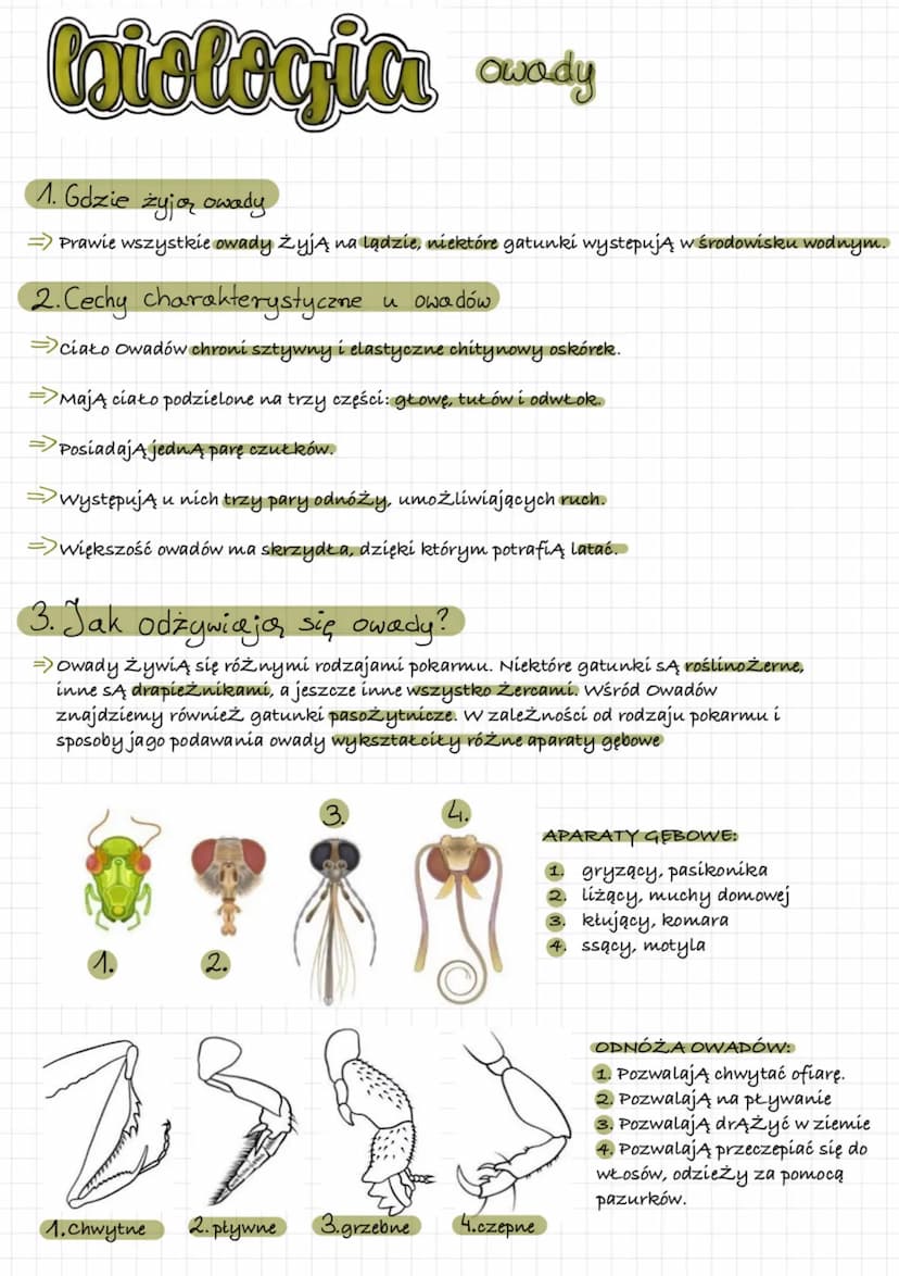 biologia stawonogi
1. Gdzie żyją?
=> niemal we wszystkich typach środowisk
2. Cechy stawonogów
=> ciało podzielone na segmenty, okryte oskór