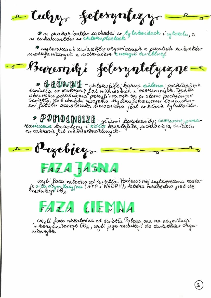 Jeloryntezat
• jest autotroficzny sposób odzywiania się przede wszystkim
roślin. Jest puzemiana, anabe liczne.
uw
Rodzuje setosyntezy
→ OKSY