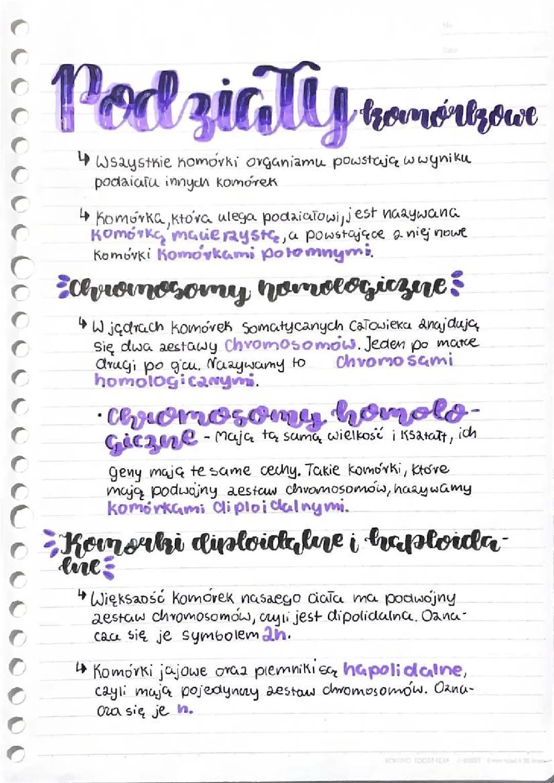 podziały komórkowe