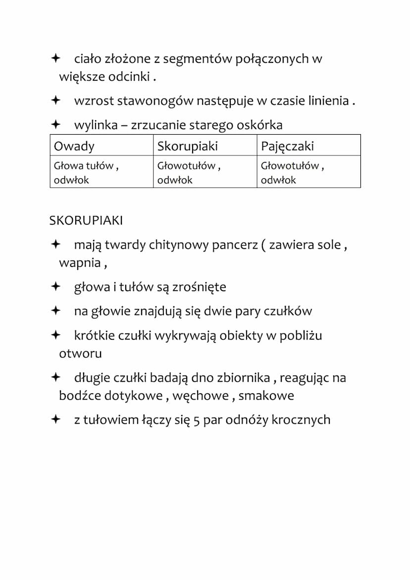 PIERŚCIENICE
Występują w wodzie słonej i słodkiej oraz w
wilgotnej glebie.
Budowa:
ciało: wydłużone, obłe, lekko spłaszczone
grzbieto-brzusz