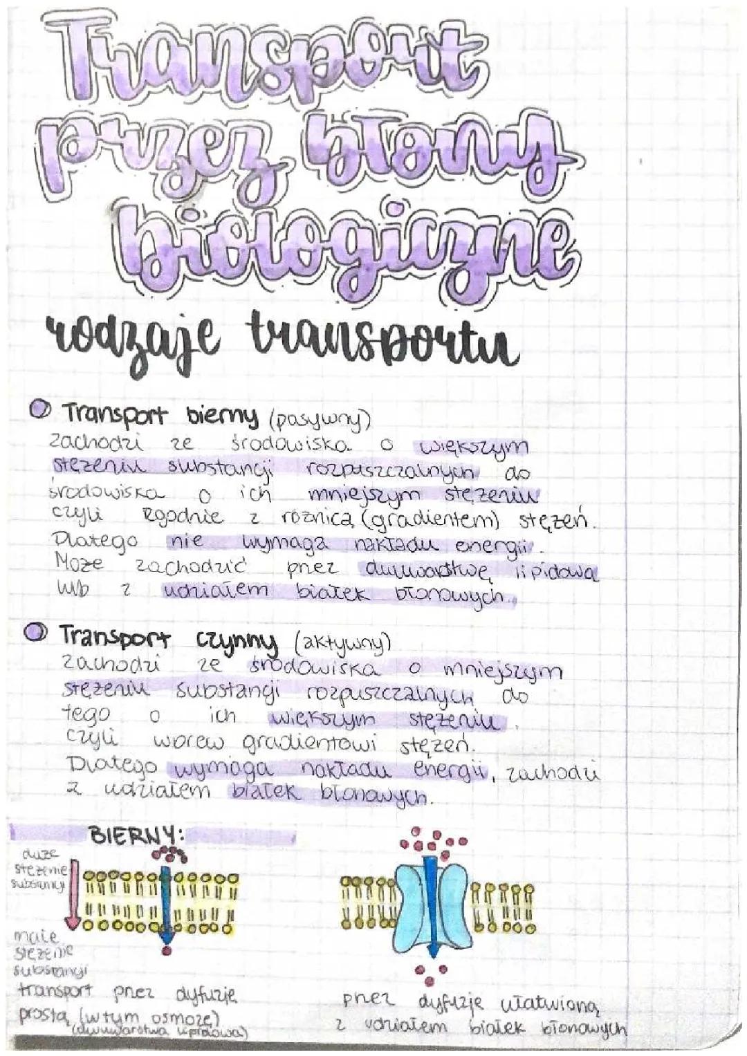 Transport przez błony biologiczne – notatka i wyjaśnienia