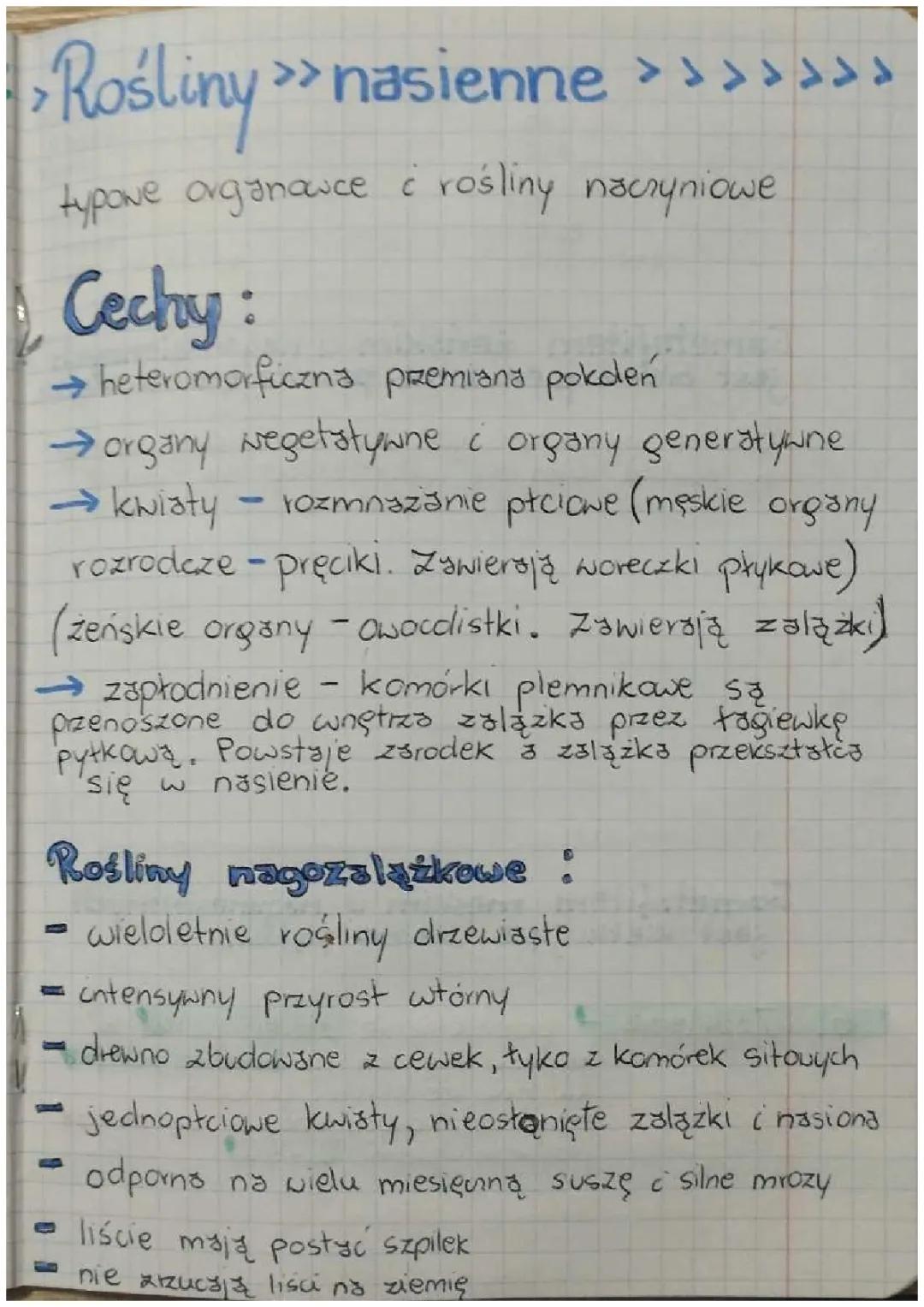 Rośliny nasienne i ich różnorodność