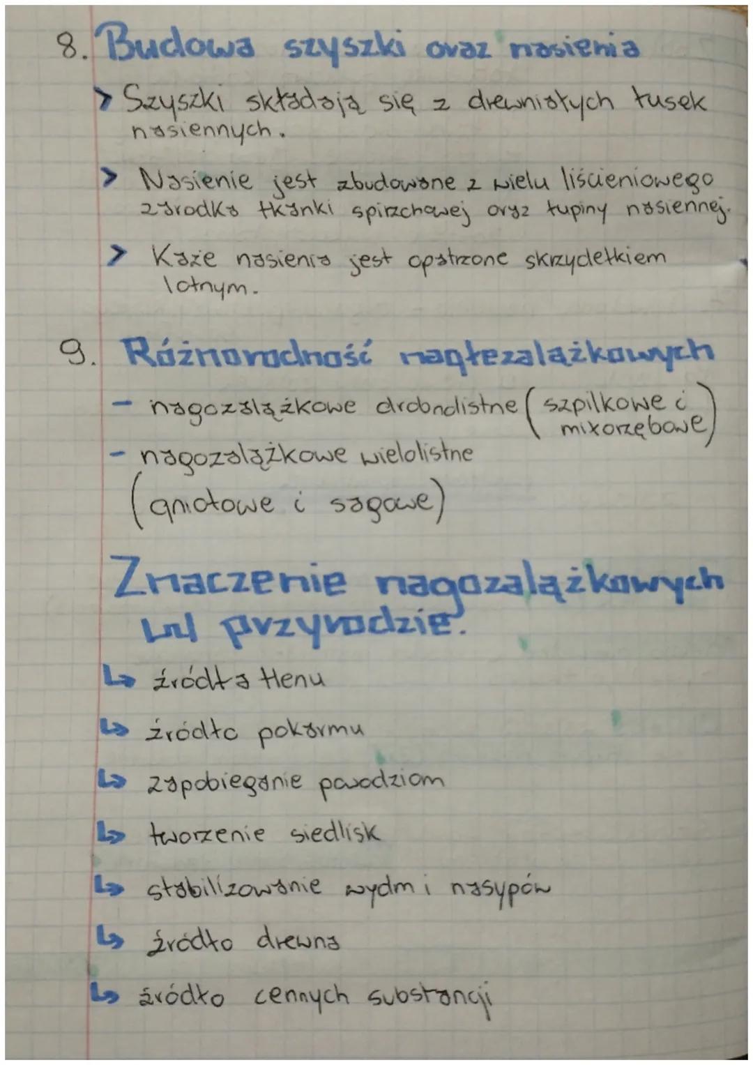 Rośliny
typowe organowce & rośliny naczyniowe
»nasienne >>>>>>>
Cechy:
→ heteromorficzna przemiana pokoleń
→ organy Negetatywne & organy gen