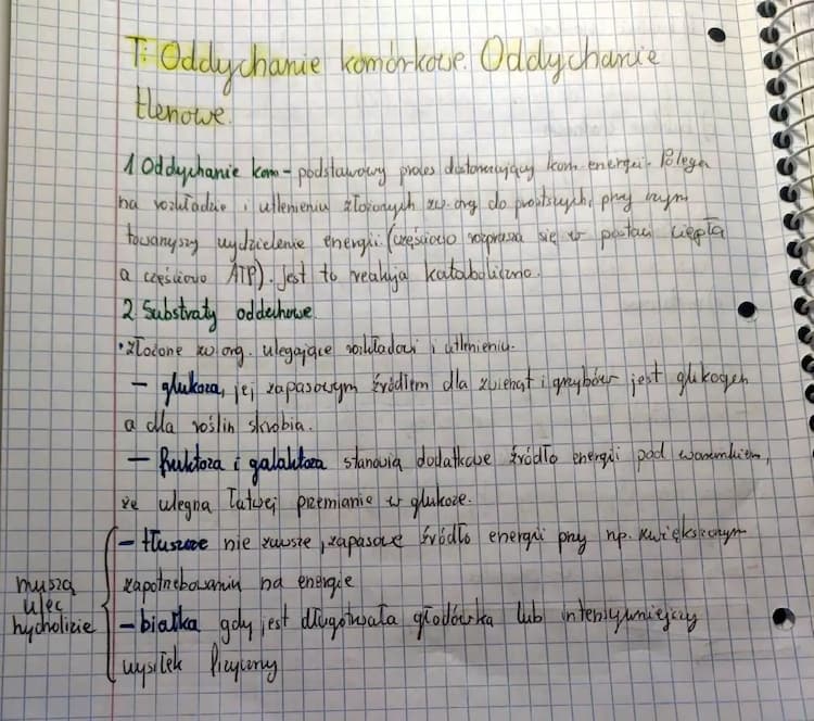 Know Oddychanie komórkowe. Oddychanie tlenowe. thumbnail
