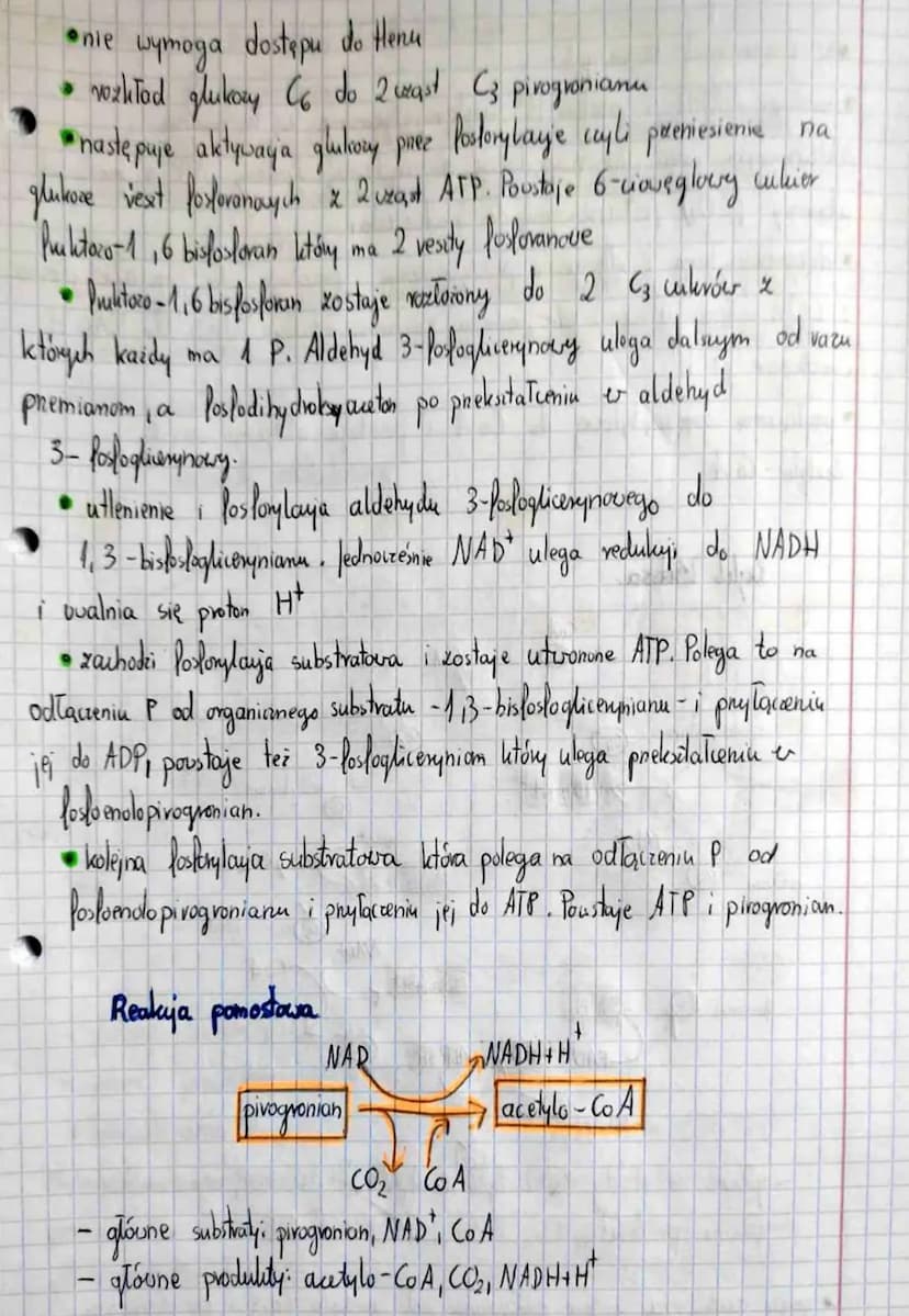 muszą
ulec
hycholizie
T. Oddychanie komórkowe. Oddychanie
tlenowe.
1 Oddychanie kom - podstawowy proves destomcający kom enerque- Polega
na 