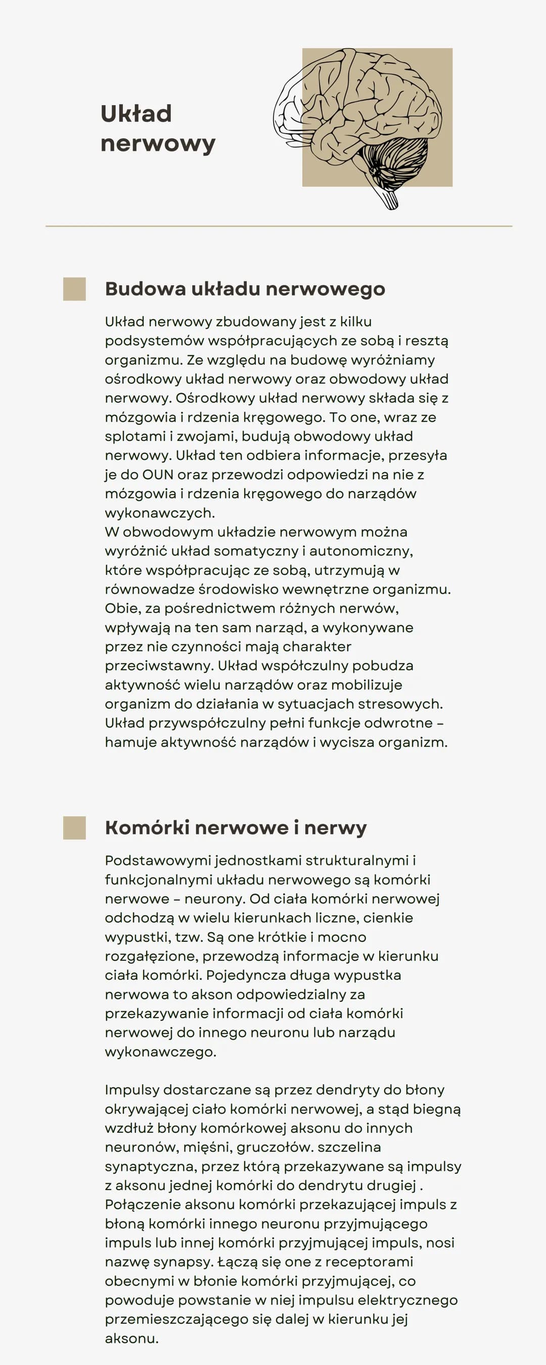 Układ
nerwowy
Budowa układu nerwowego
Układ nerwowy zbudowany jest z kilku
podsystemów współpracujących ze sobą i resztą
organizmu. Ze wzglę