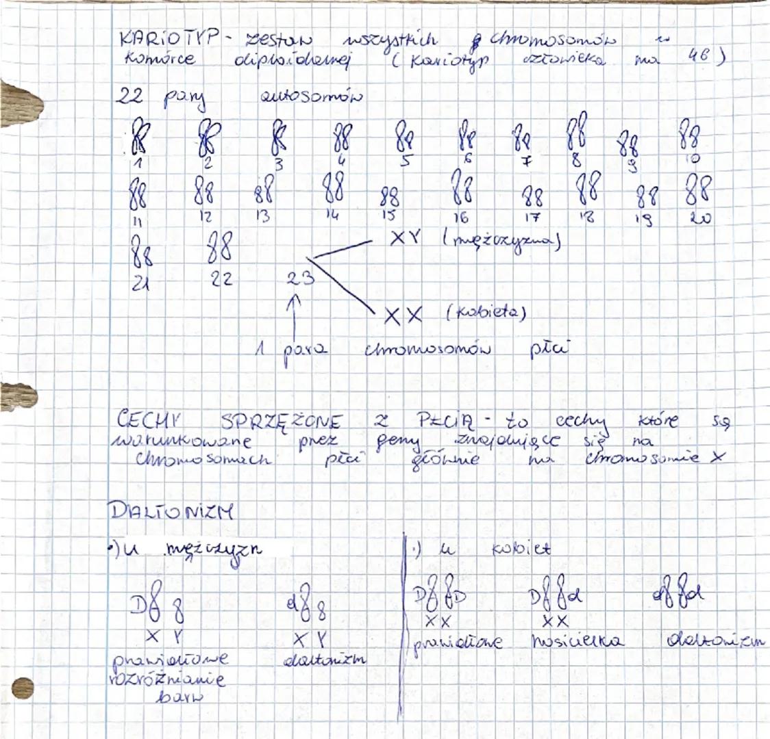 obnugin
ZALOZENIA CHROMOSOWEJ
1) geny
znajdują
2) wszystkie geny
TEORI DZIEDZICZENIA
Się
"na
chromosomuch
SQ
ułożone
linowo,
3) Kuzoly
gen
m