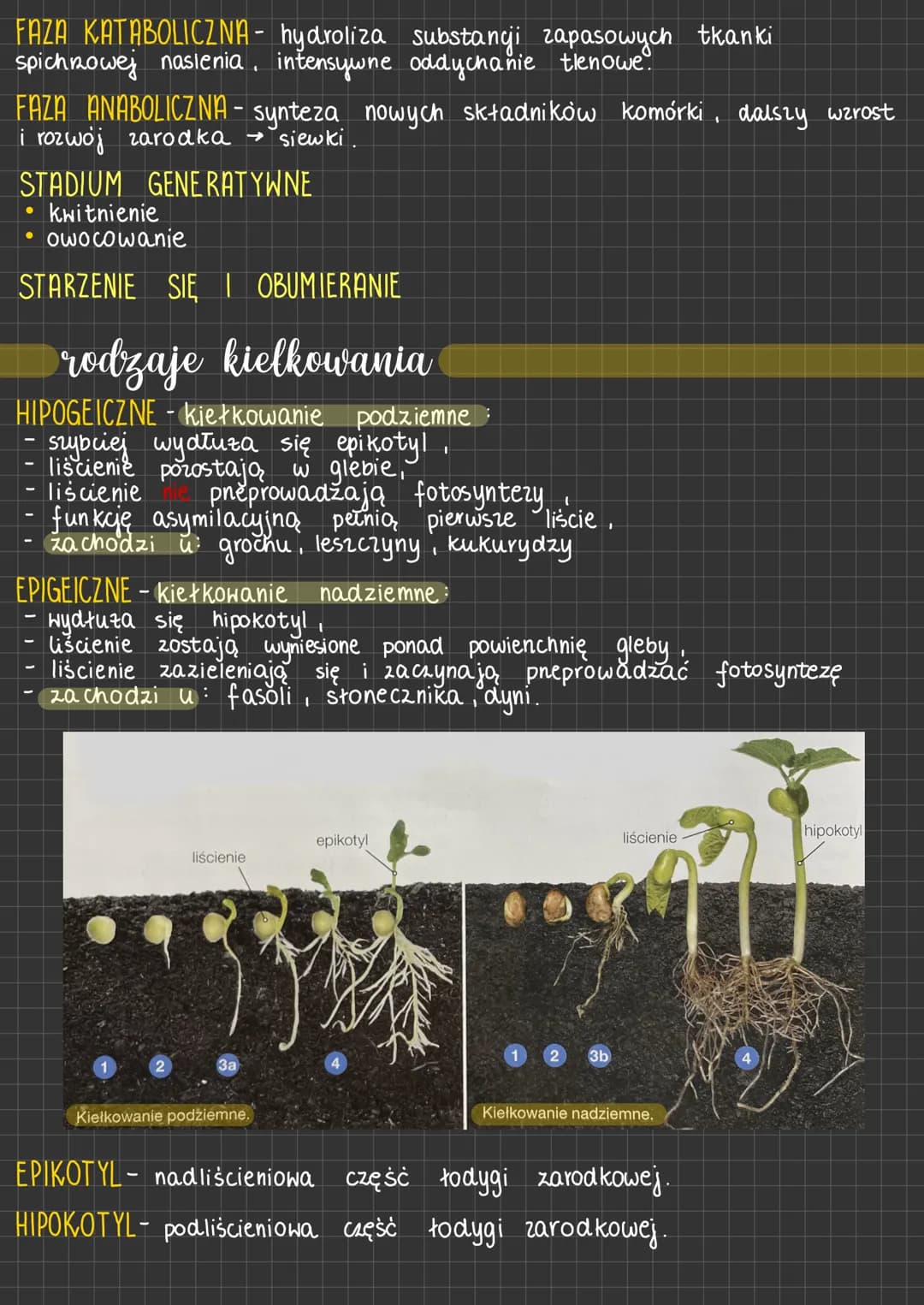 
<h3 id="wzrostirozwjrolinbiologhelp">Wzrost i rozwój roślin BiologHelp</h3>
<h3 id="rozwjwegetatywnyigeneratywnyrolin">Rozwój wegetatywny i