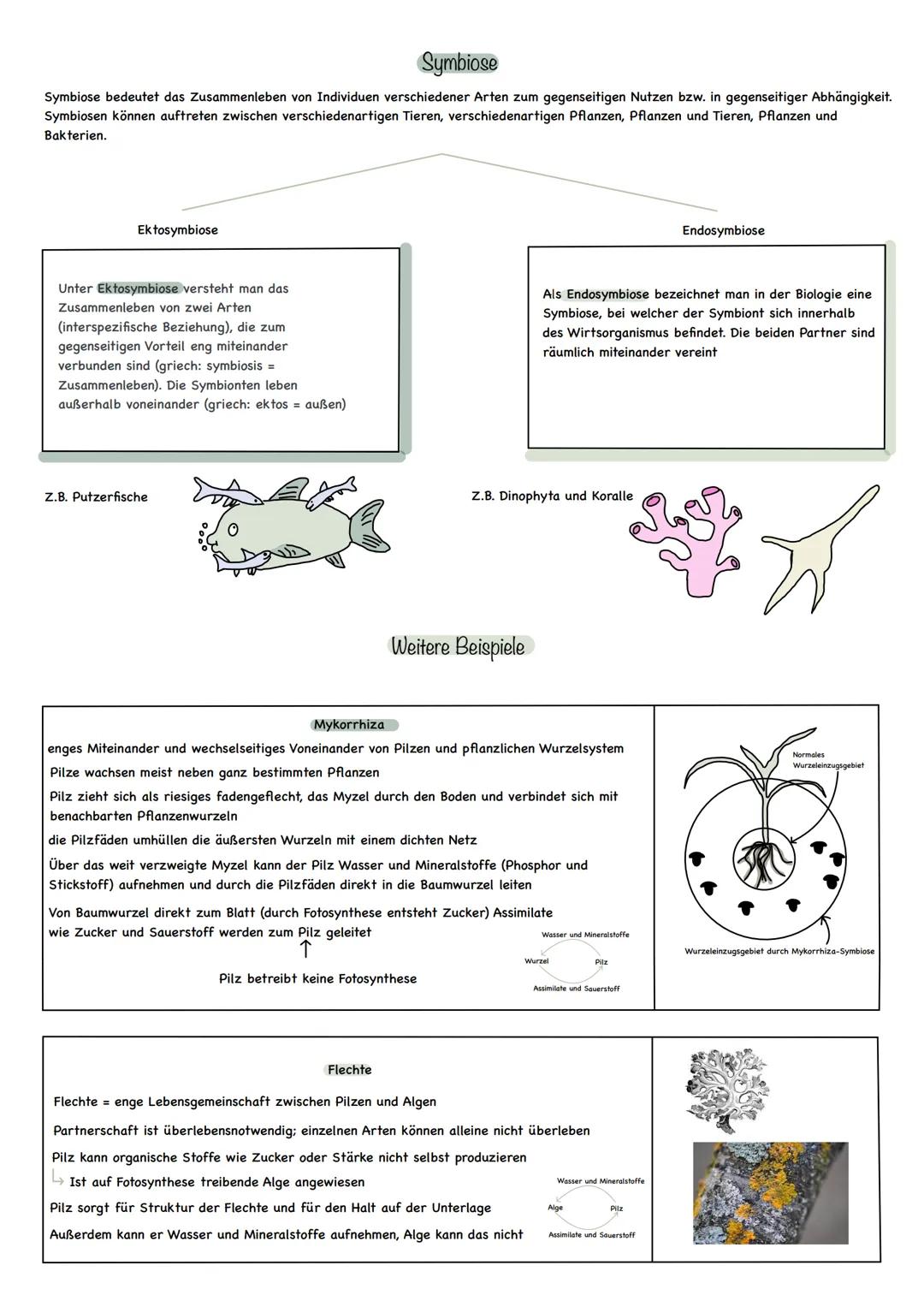 # Symbiose

Symbiose bedeutet das Zusammenleben von Individuen verschiedener Arten zum gegenseitigen Nutzen bzw. in gegenseitiger Abhängigke